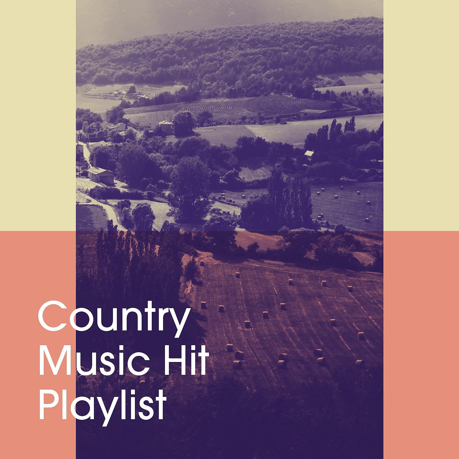 Постер альбома Country Music Hit Playlist