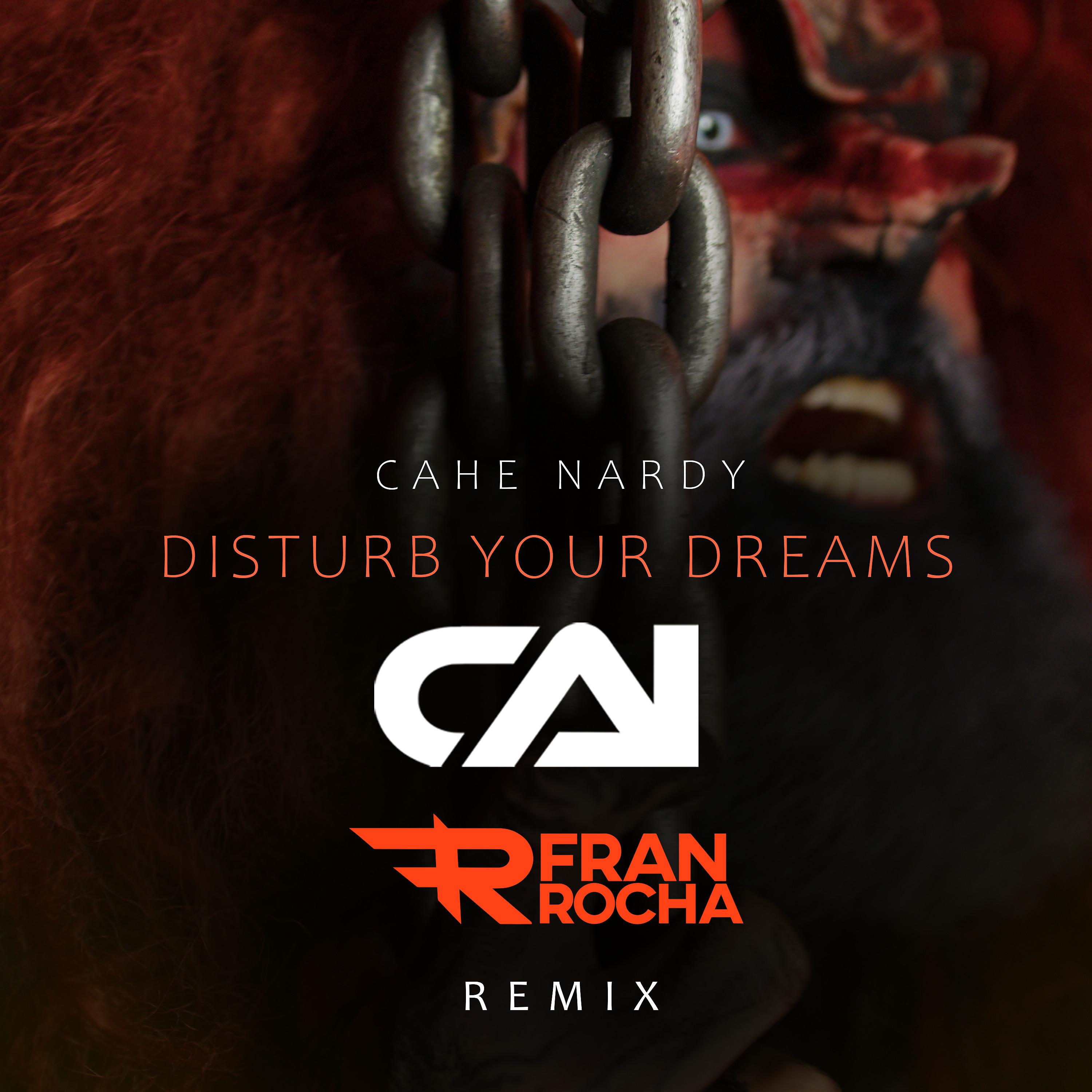 Постер альбома Disturb Your Dreams (Fran Rocha Remix)
