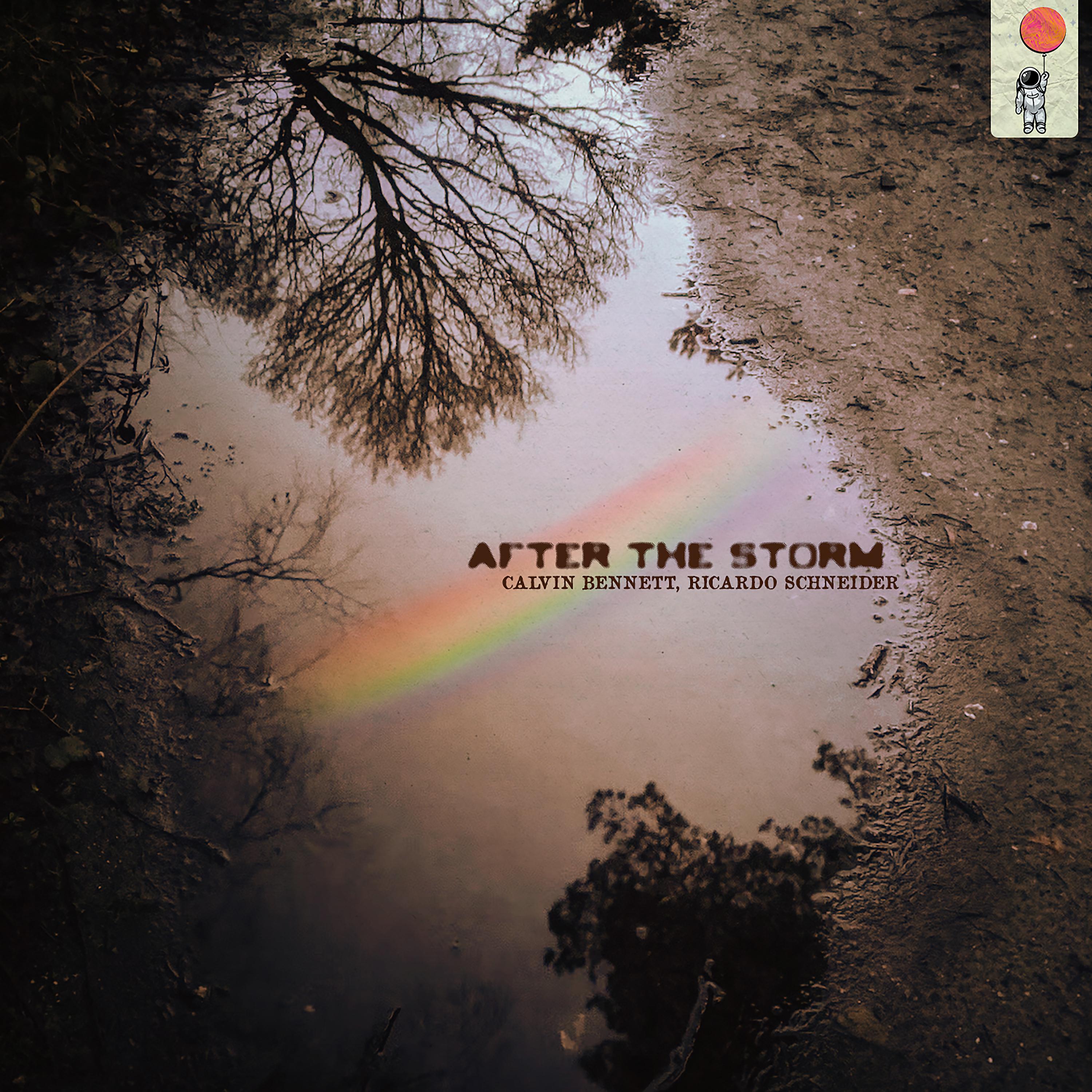 Постер альбома After the storm