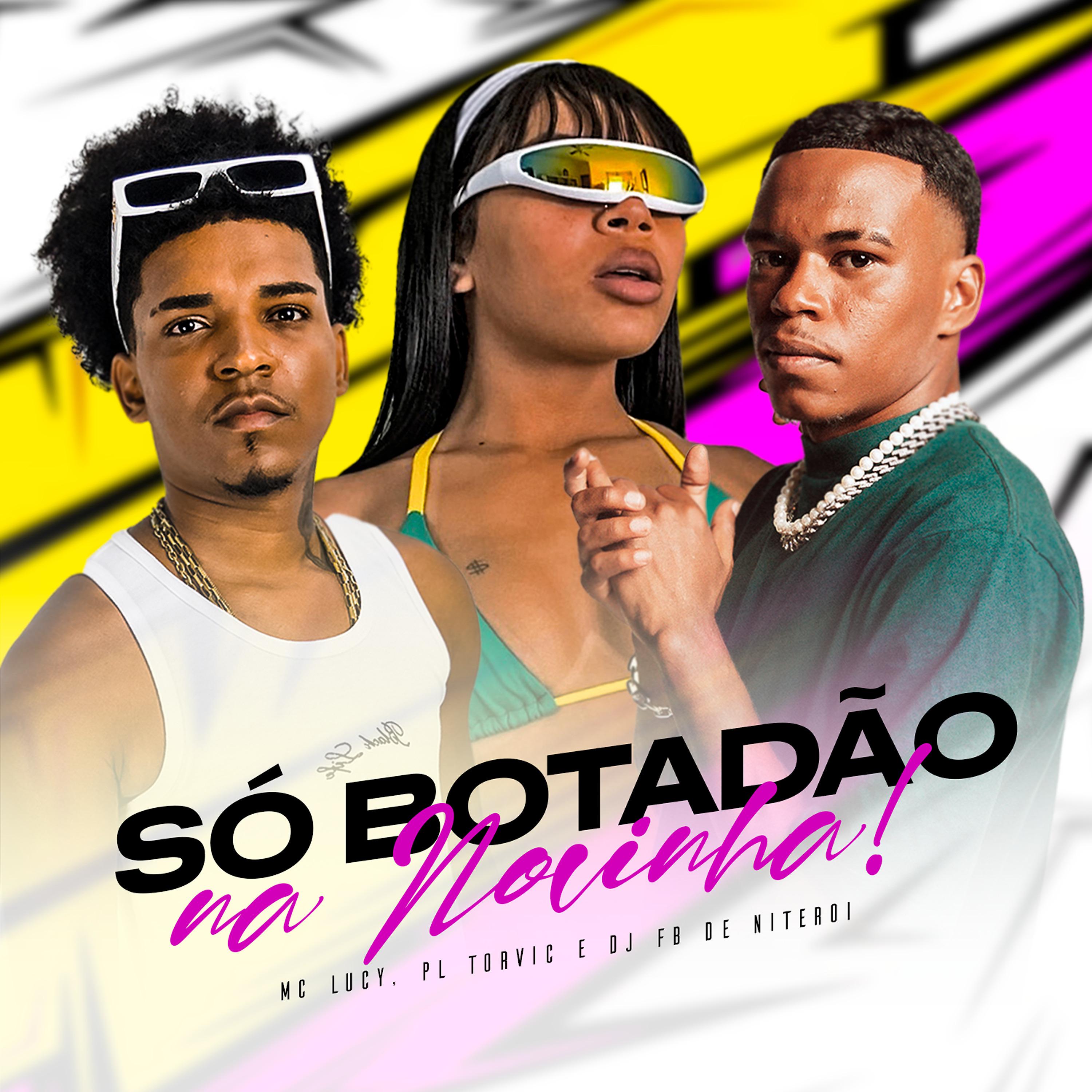 Постер альбома Só Botadão na Novinha