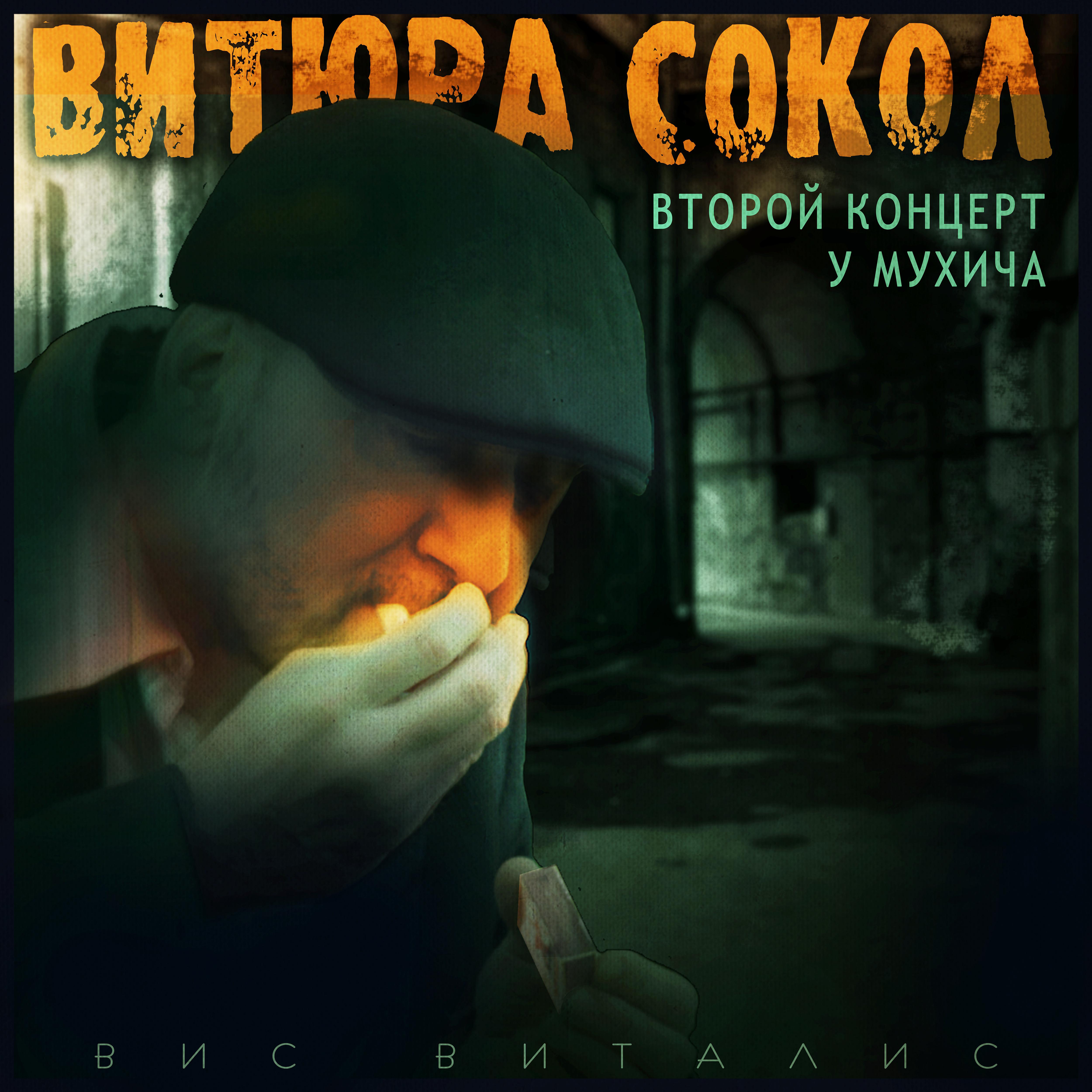 Постер альбома Витюра Сокол: второй концерт у Мухича