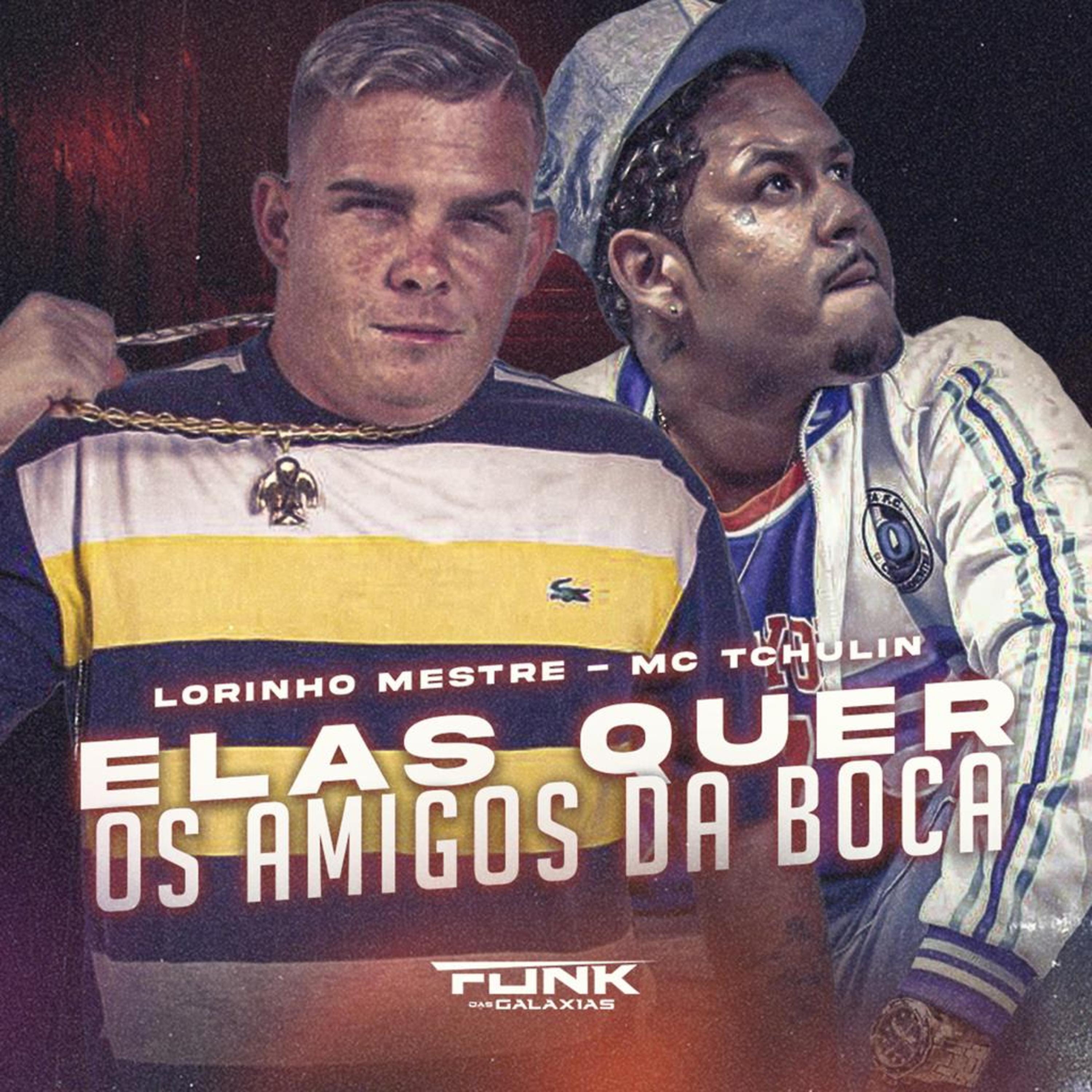 Постер альбома Elas Quer os Amigos da Boca