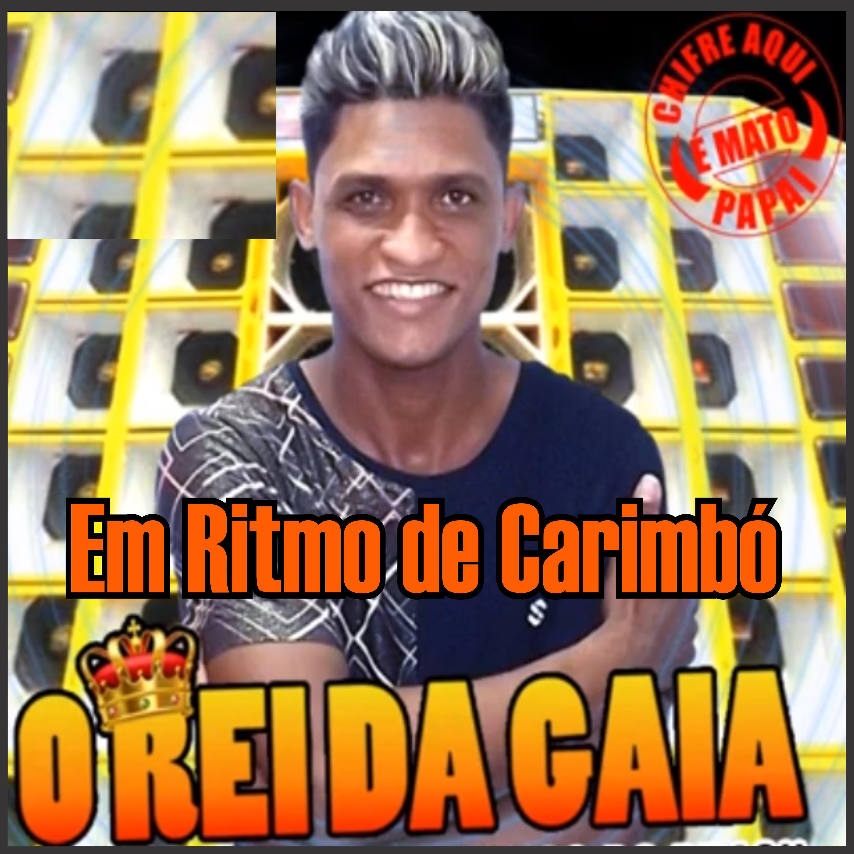 Постер альбома Em Ritmo de Carimbó