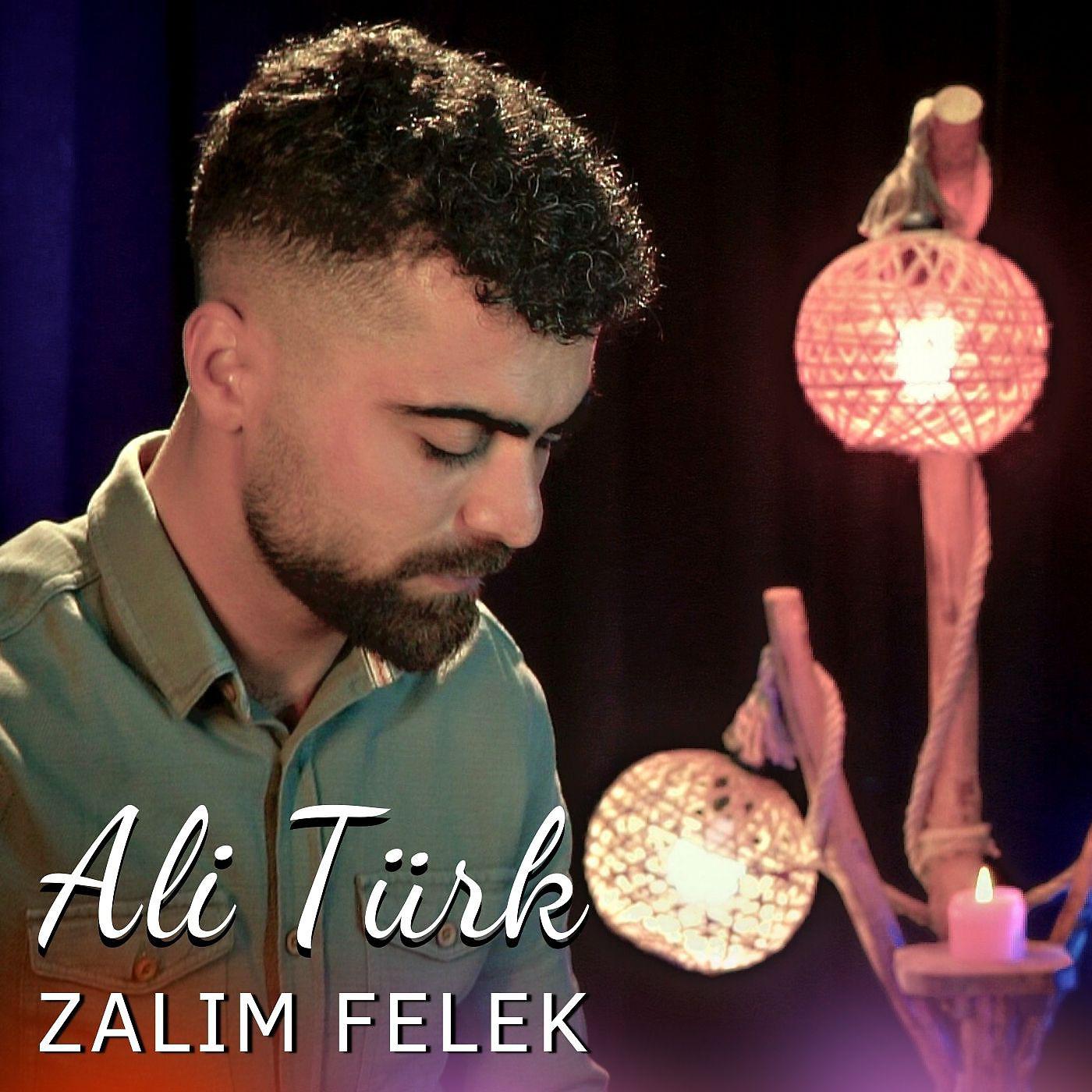 Постер альбома Zalım Felek