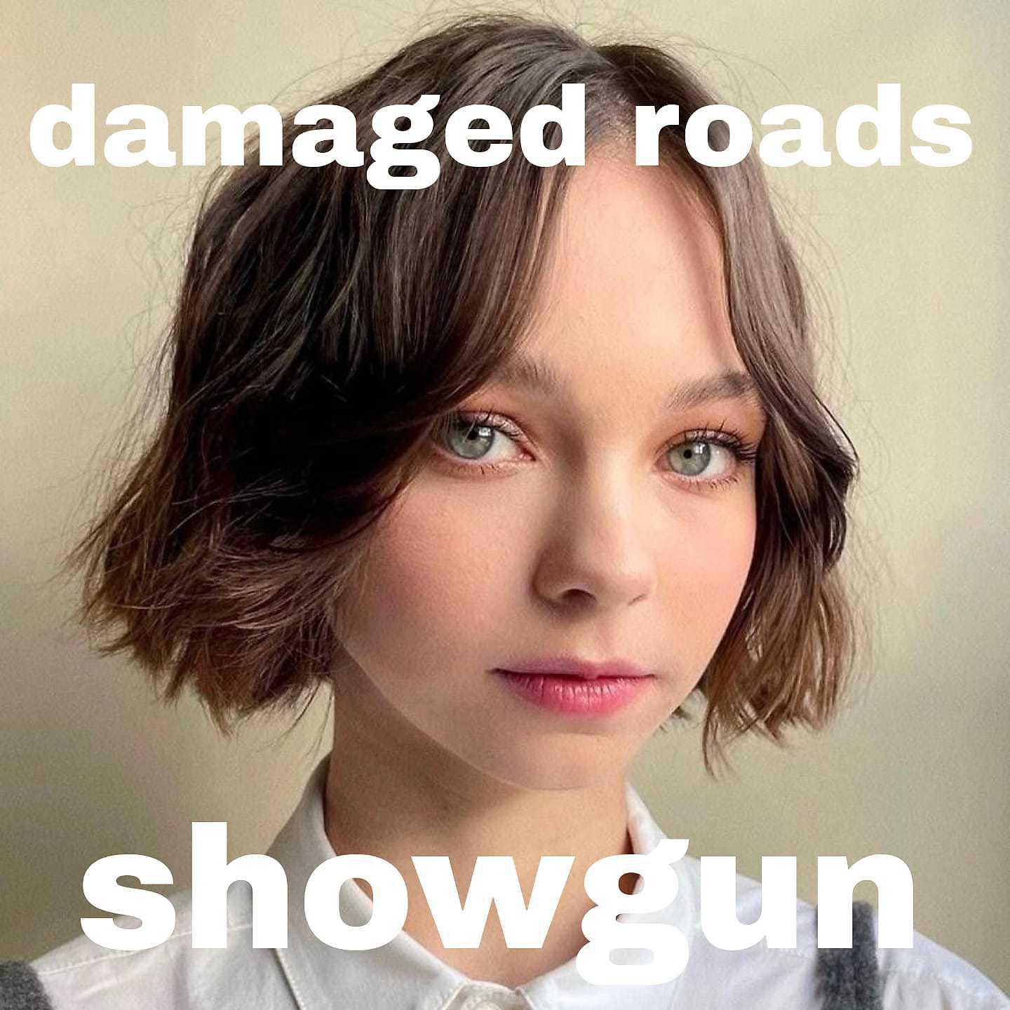 Постер альбома damage roads