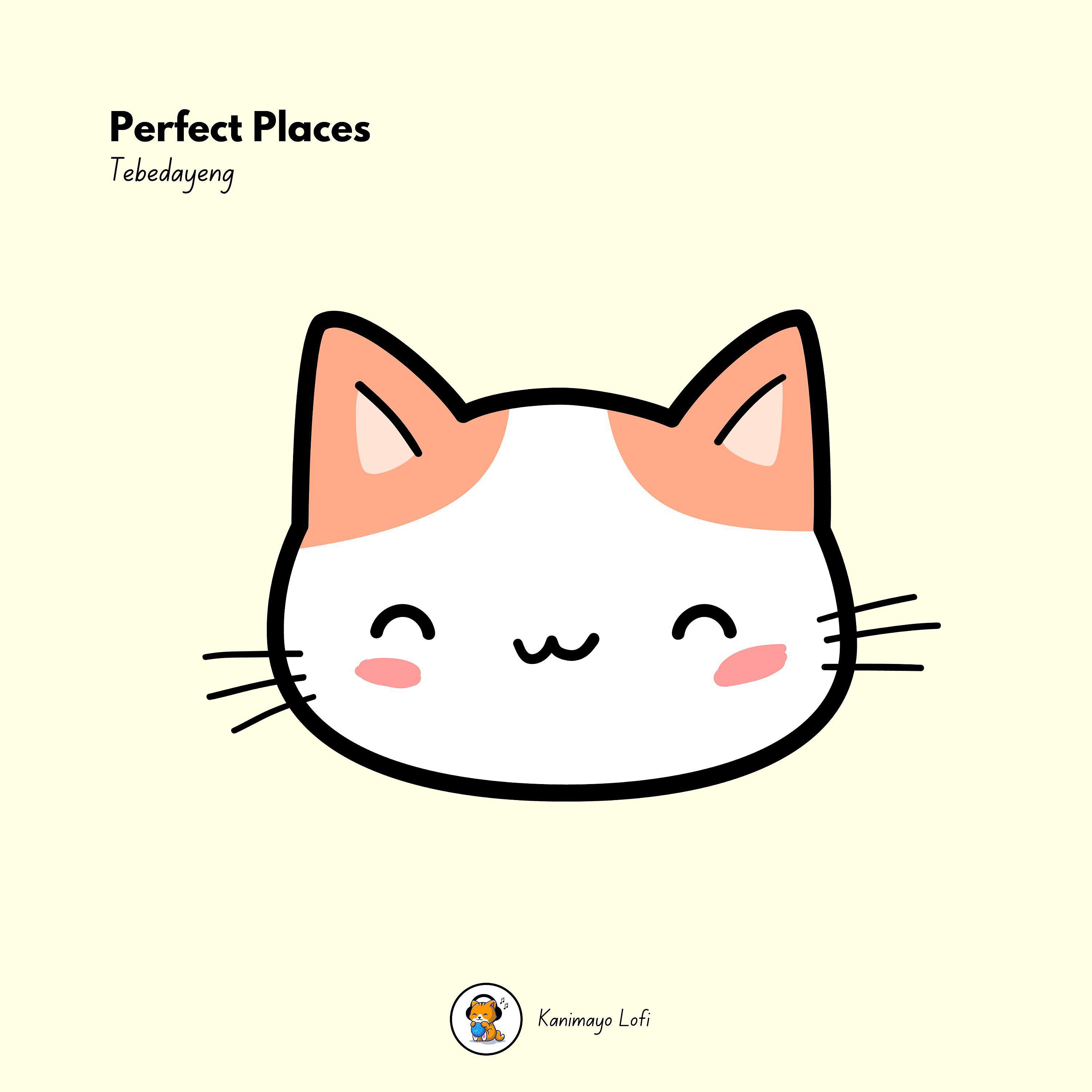 Постер альбома Perfect Places