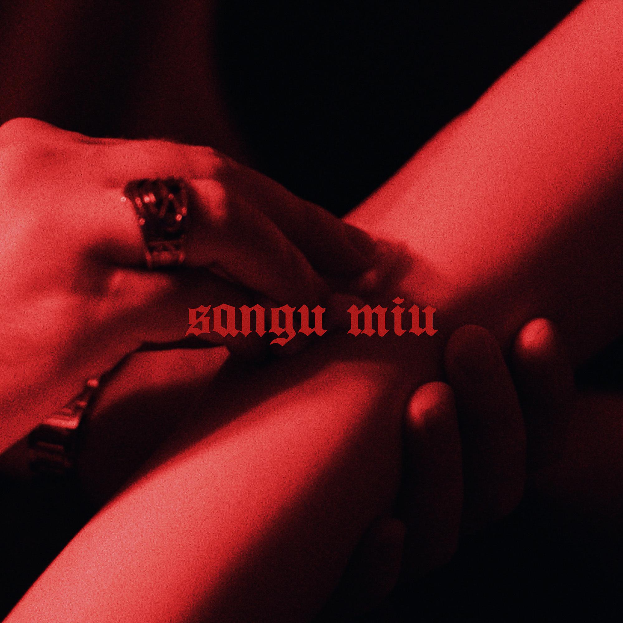 Постер альбома Sangu Miu