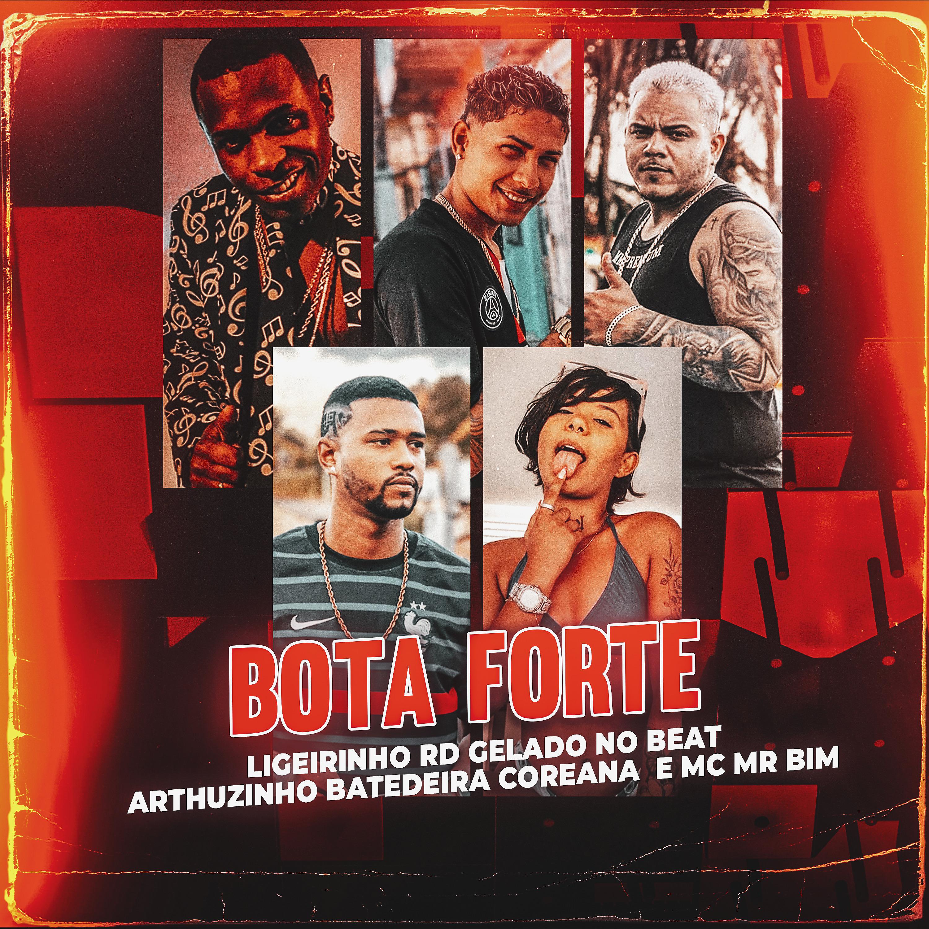 Постер альбома Bota Forte
