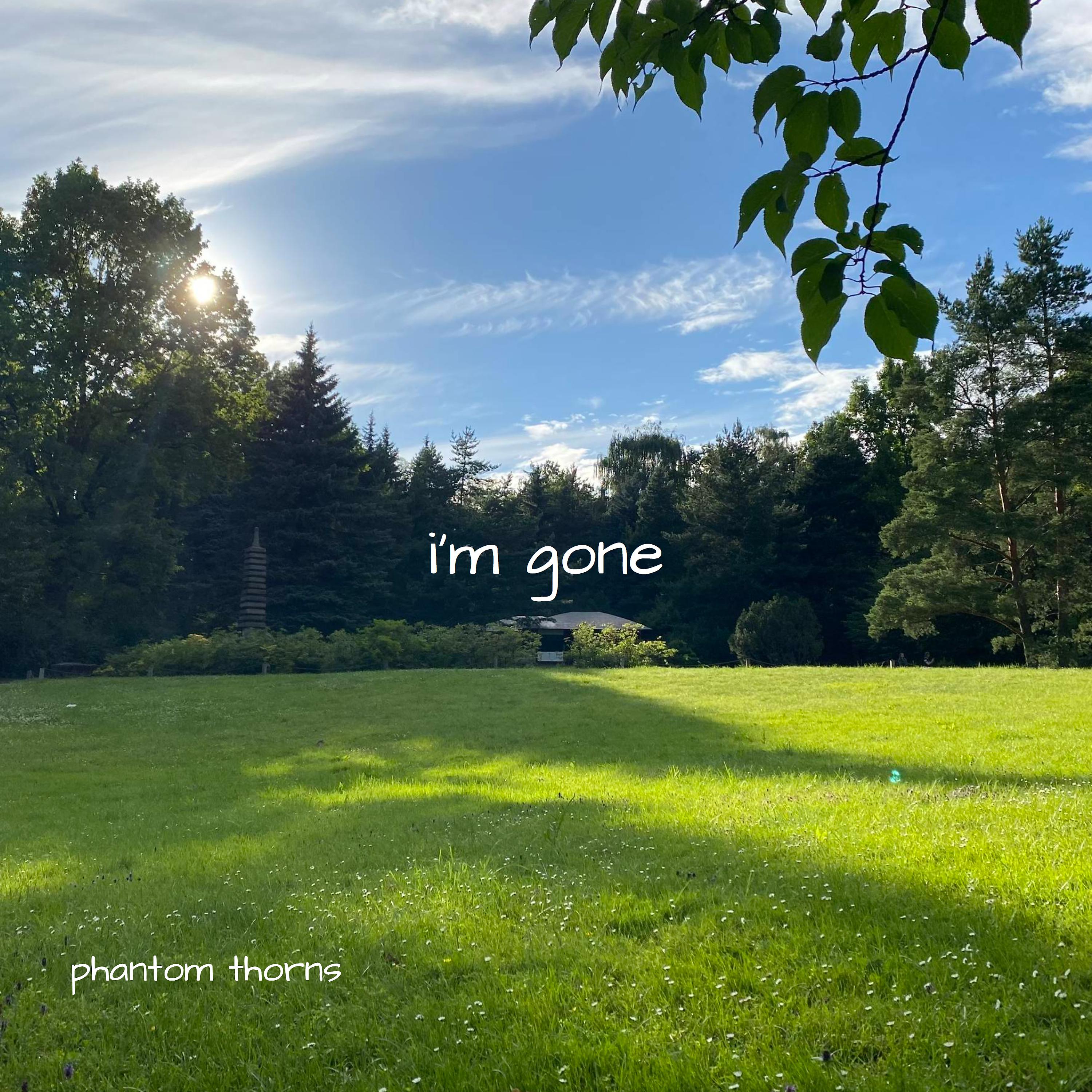 Постер альбома I'm Gone