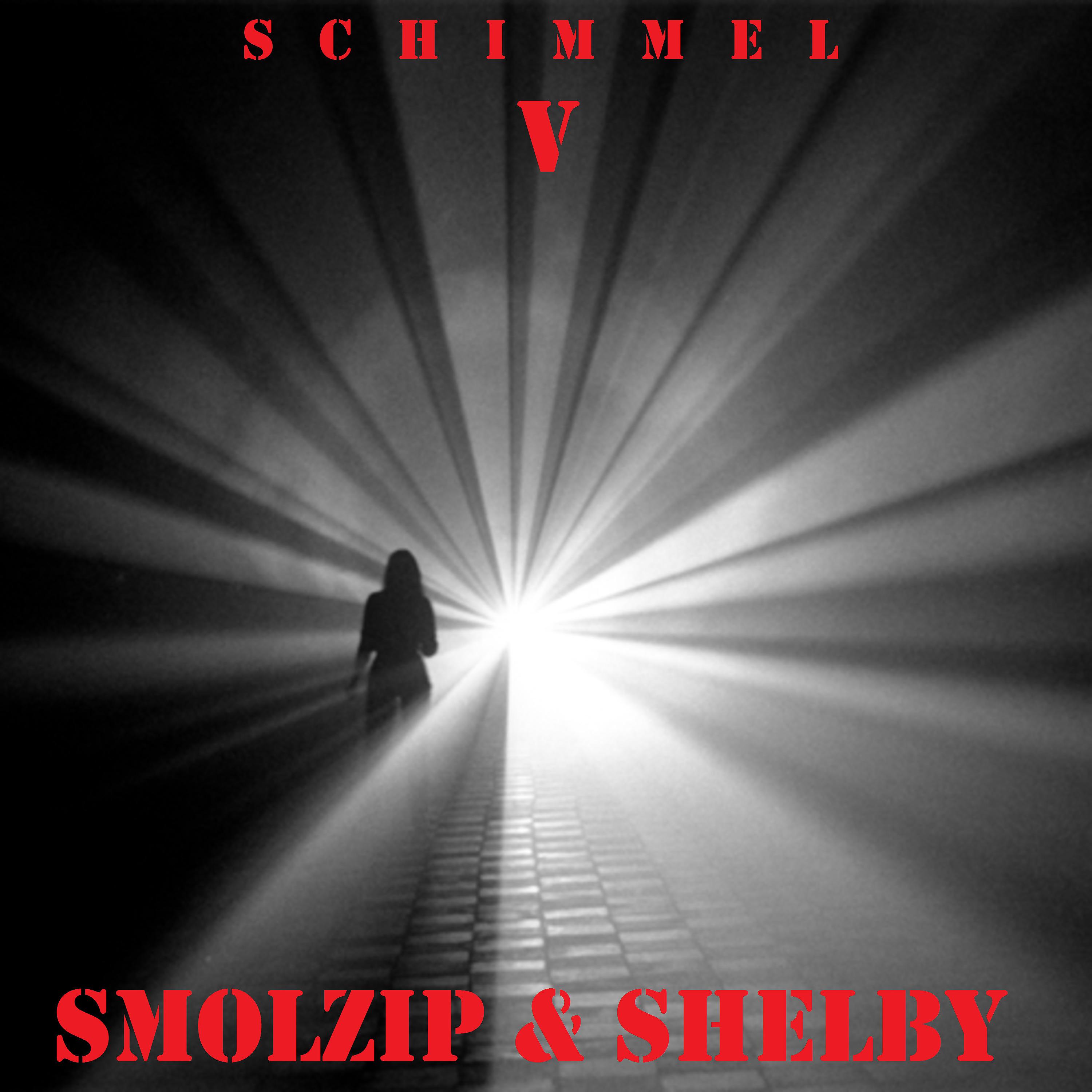 Постер альбома V. Schimmel