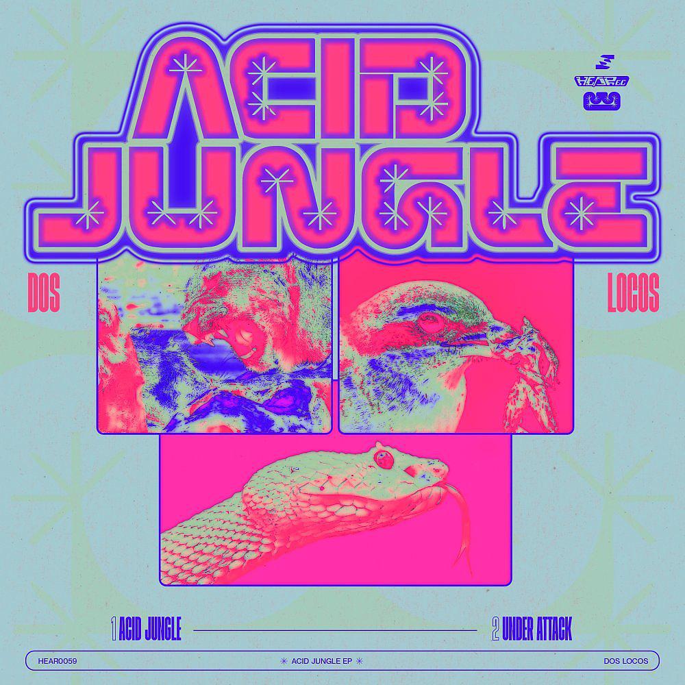 Постер альбома Acid Jungle
