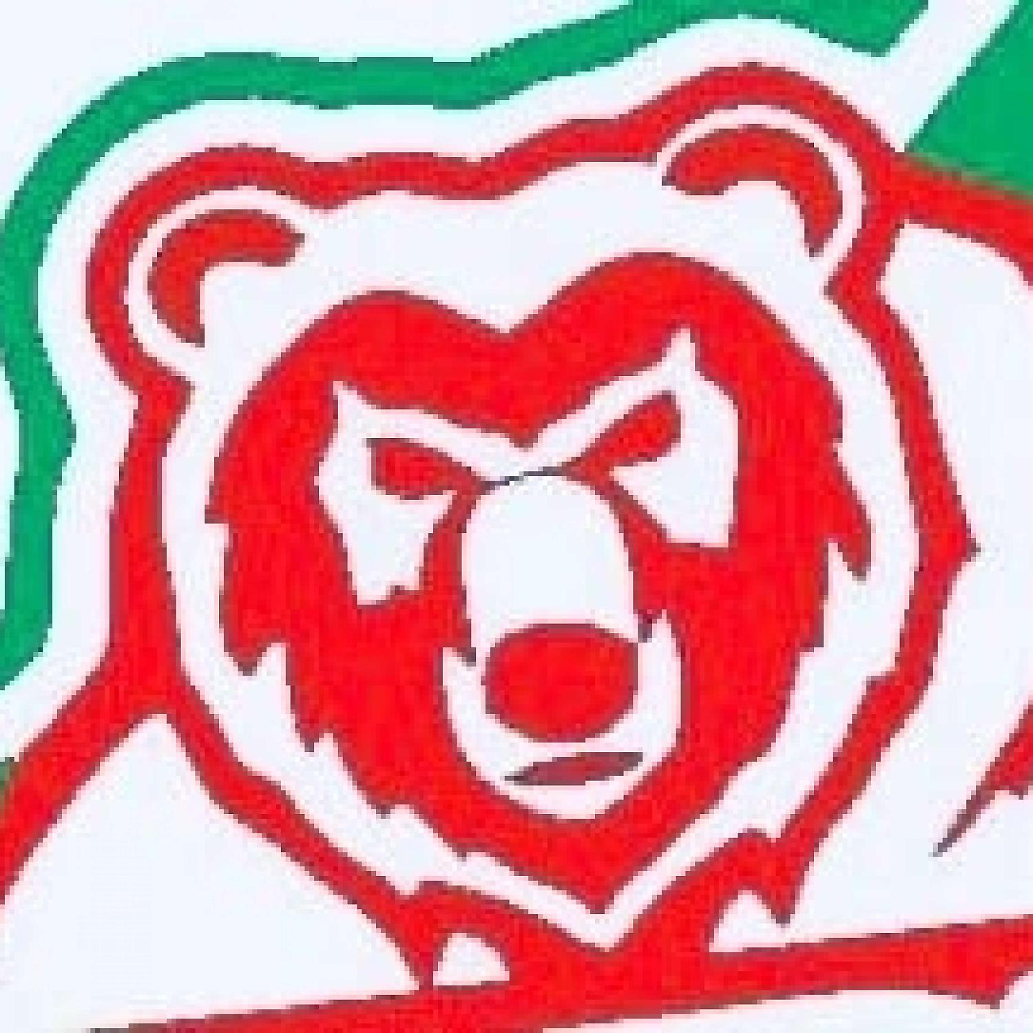 Постер альбома Советские Медведи
