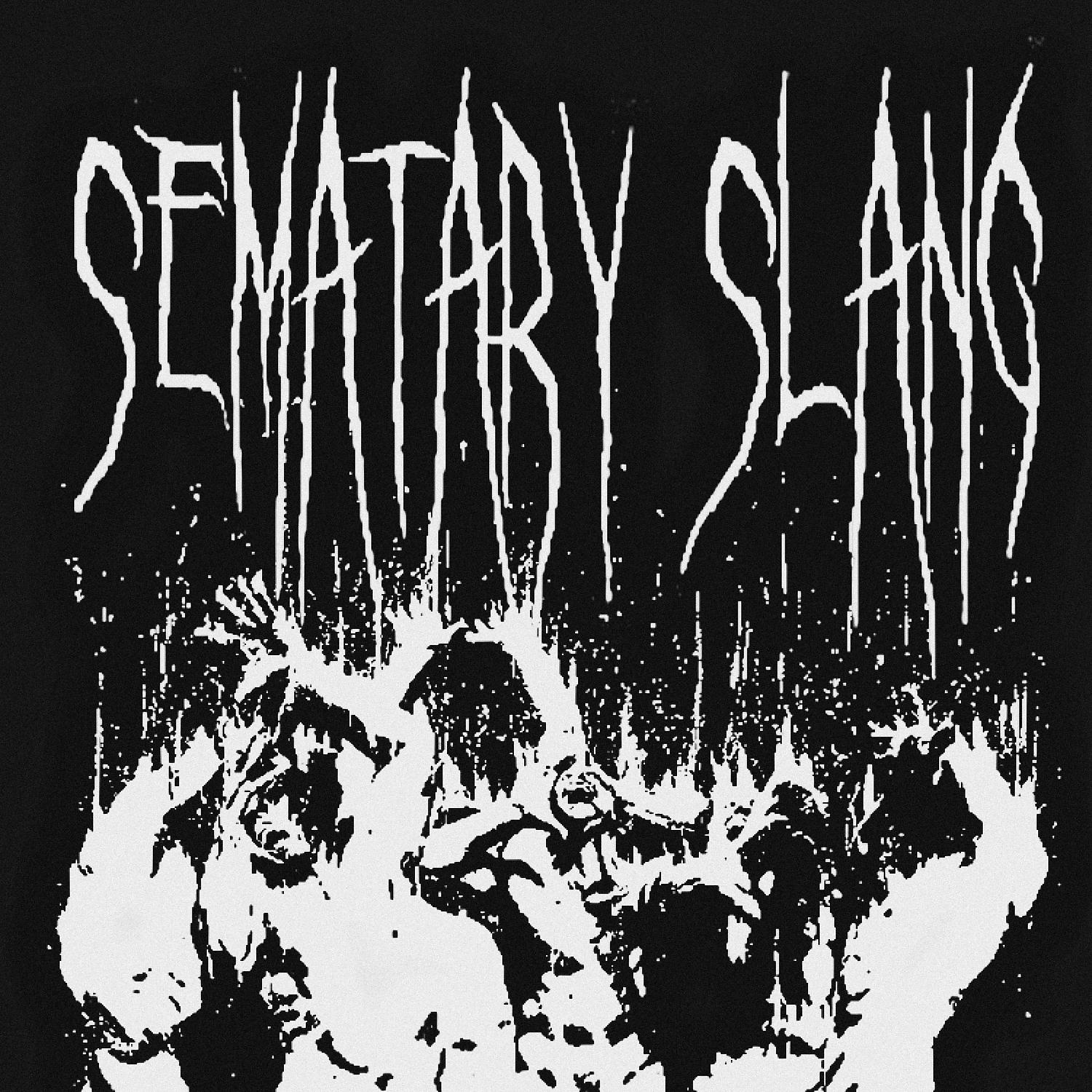 Постер альбома SEMATARY SLANG