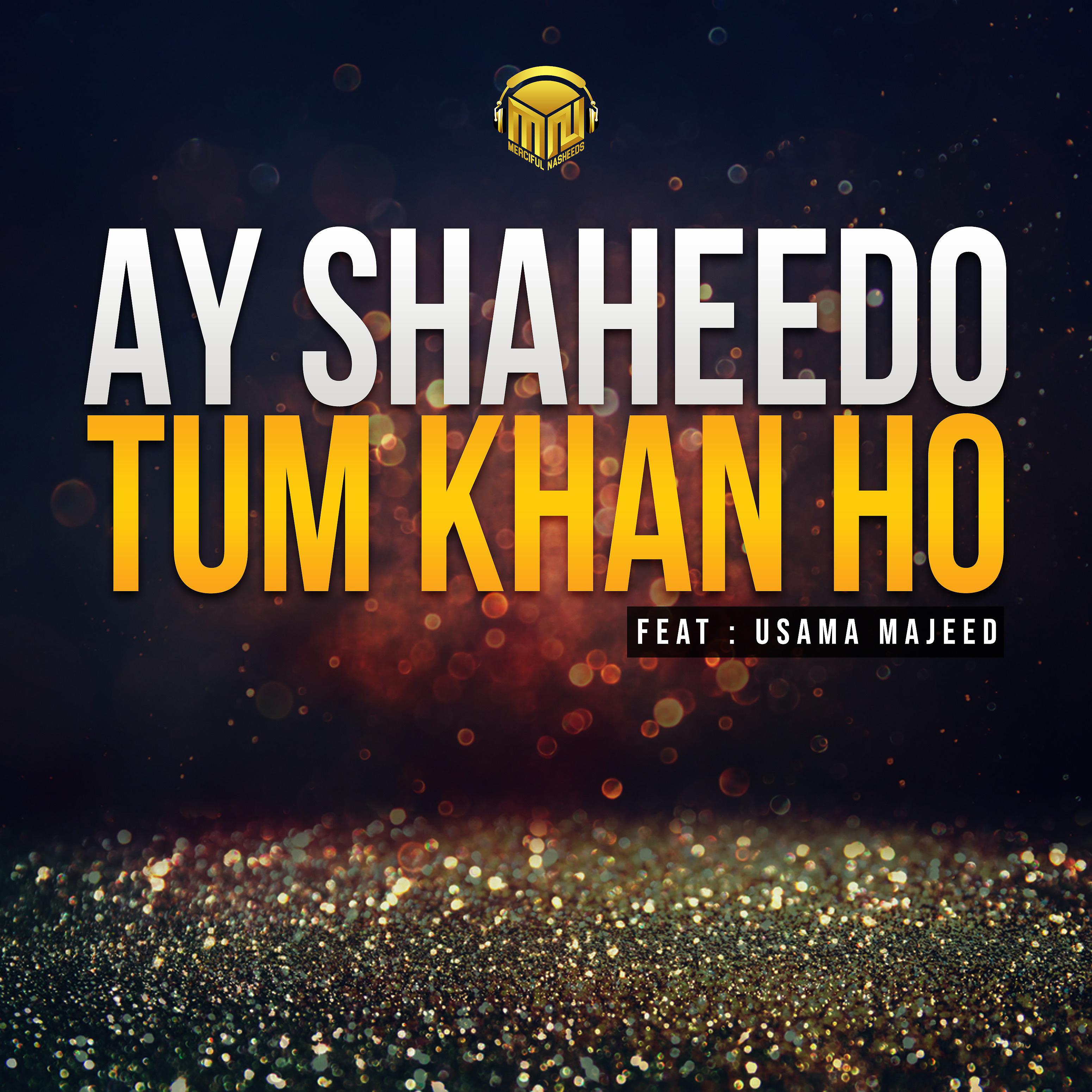 Постер альбома Ay Shaheedo Tum Khan Ho
