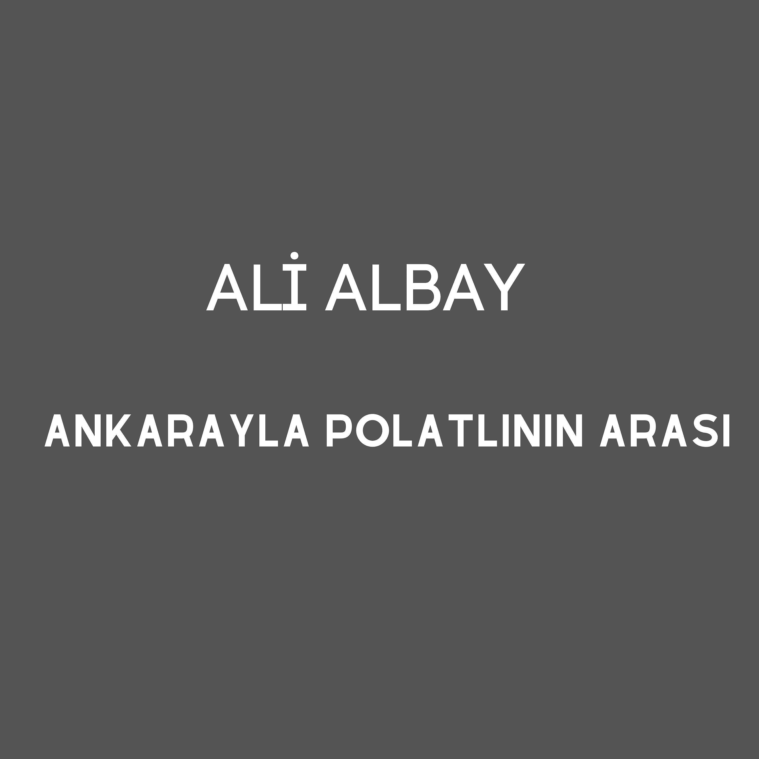 Постер альбома Ankarayla Polatlının Arası