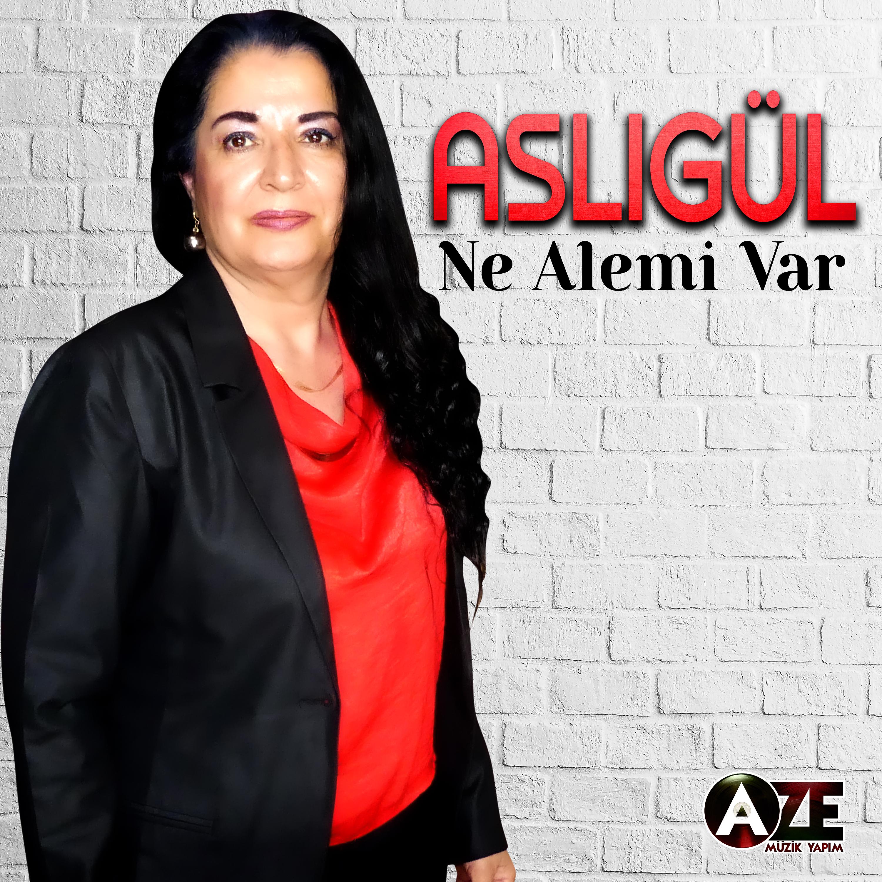 Постер альбома Ne Alemi Var