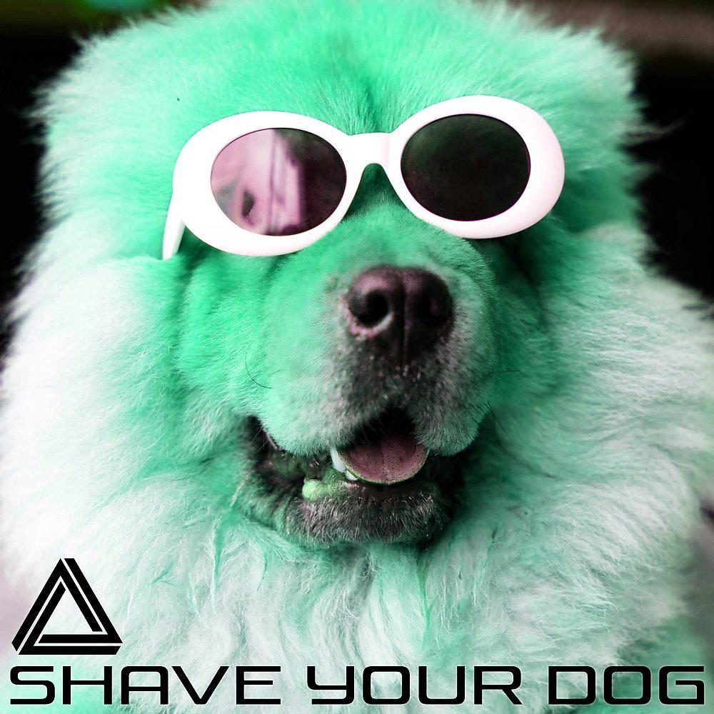 Постер альбома Shave Your Dog