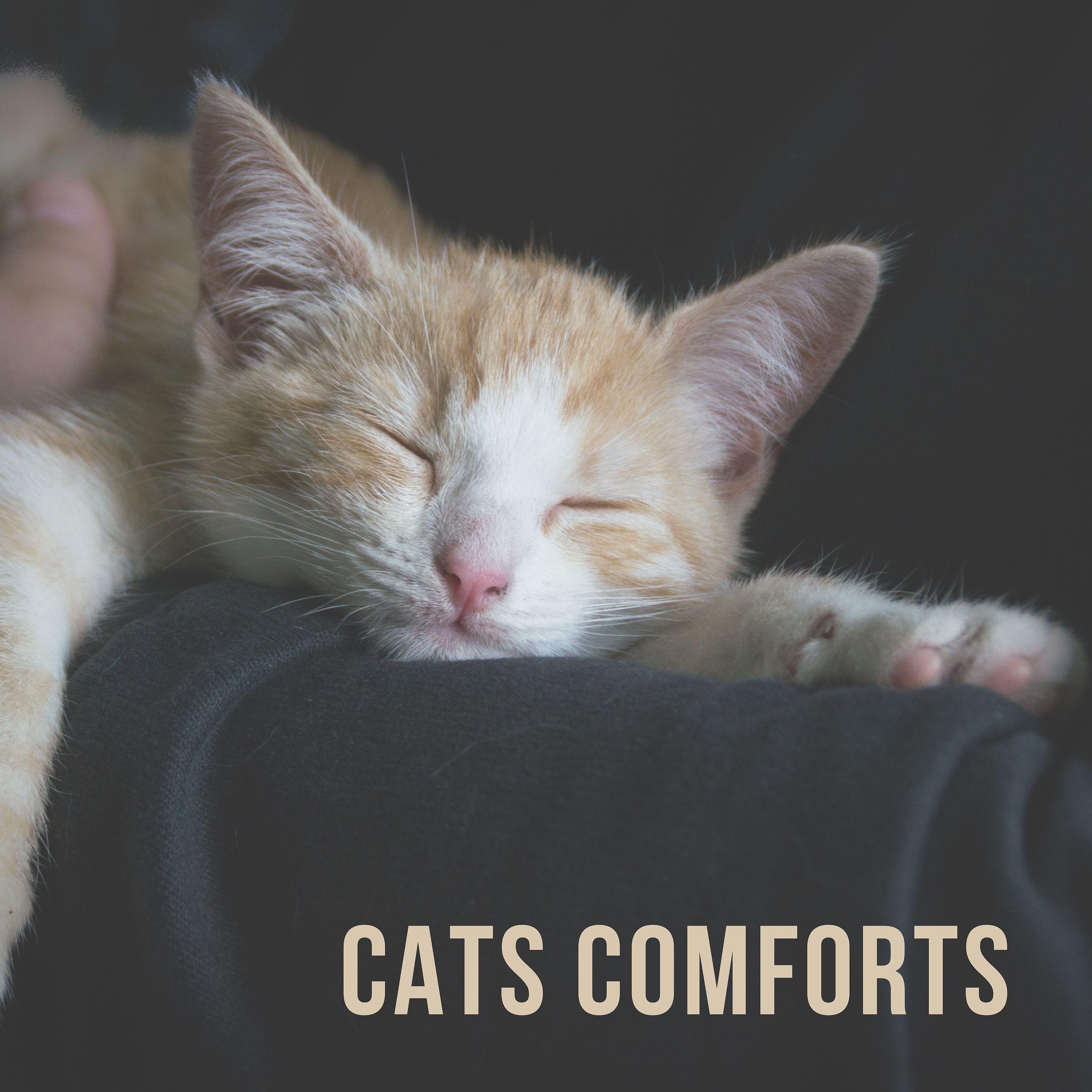 Постер альбома Cats Comforts