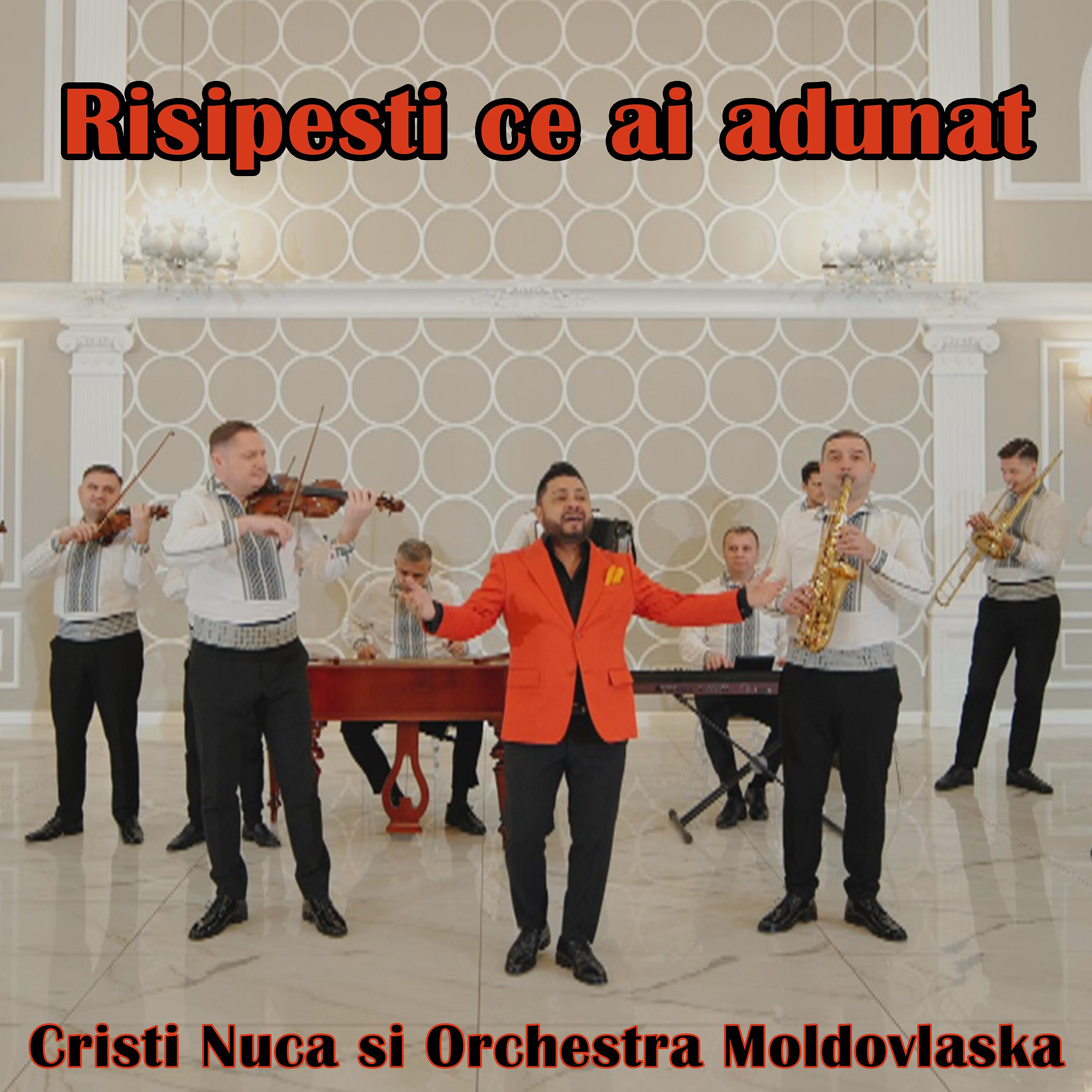 Постер альбома Risipesti ce ai adunat