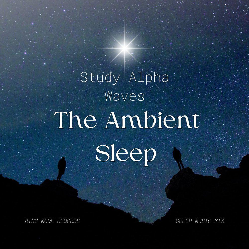 Постер альбома Study Alpha Waves