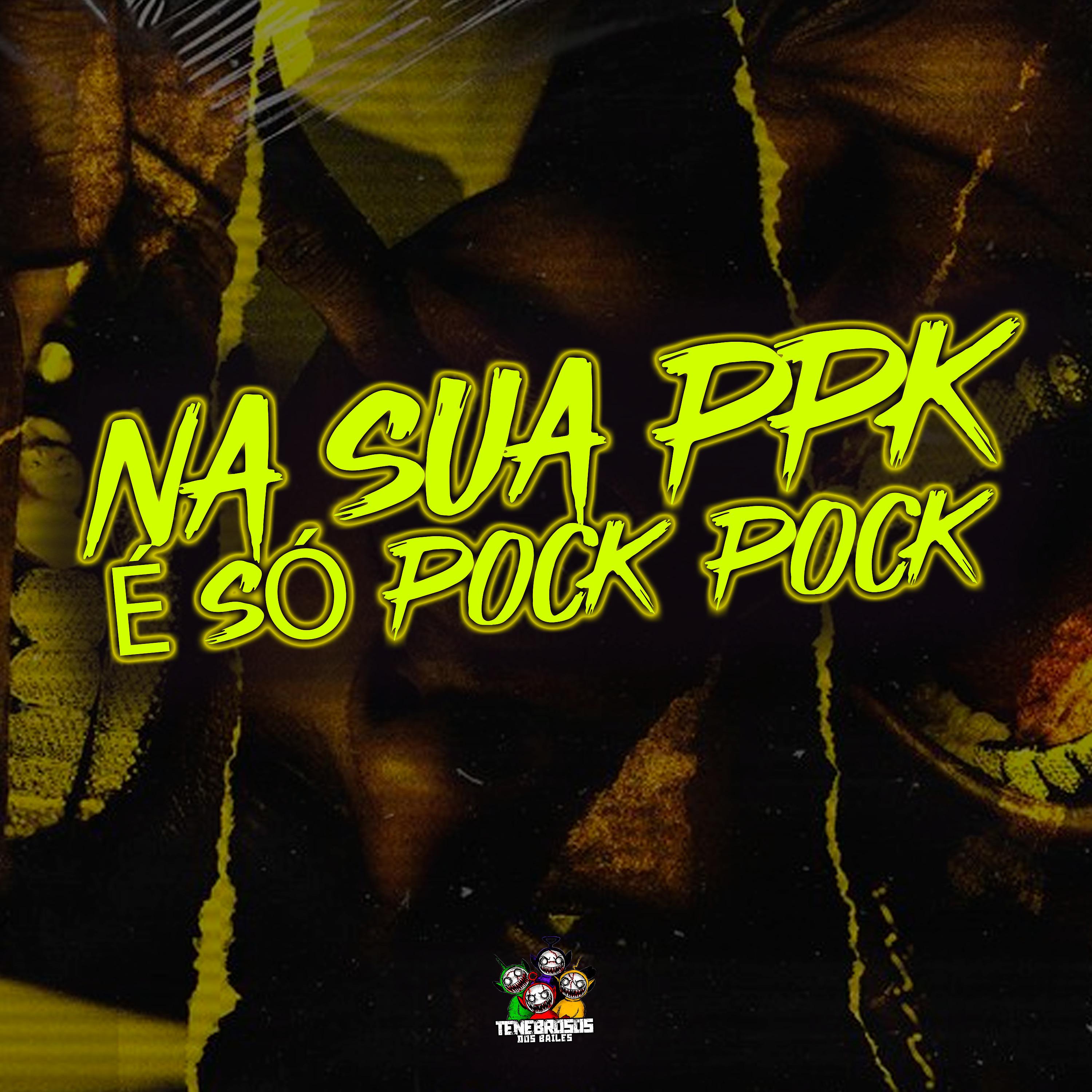 Постер альбома Na Sua Ppk É Só Pock Pock
