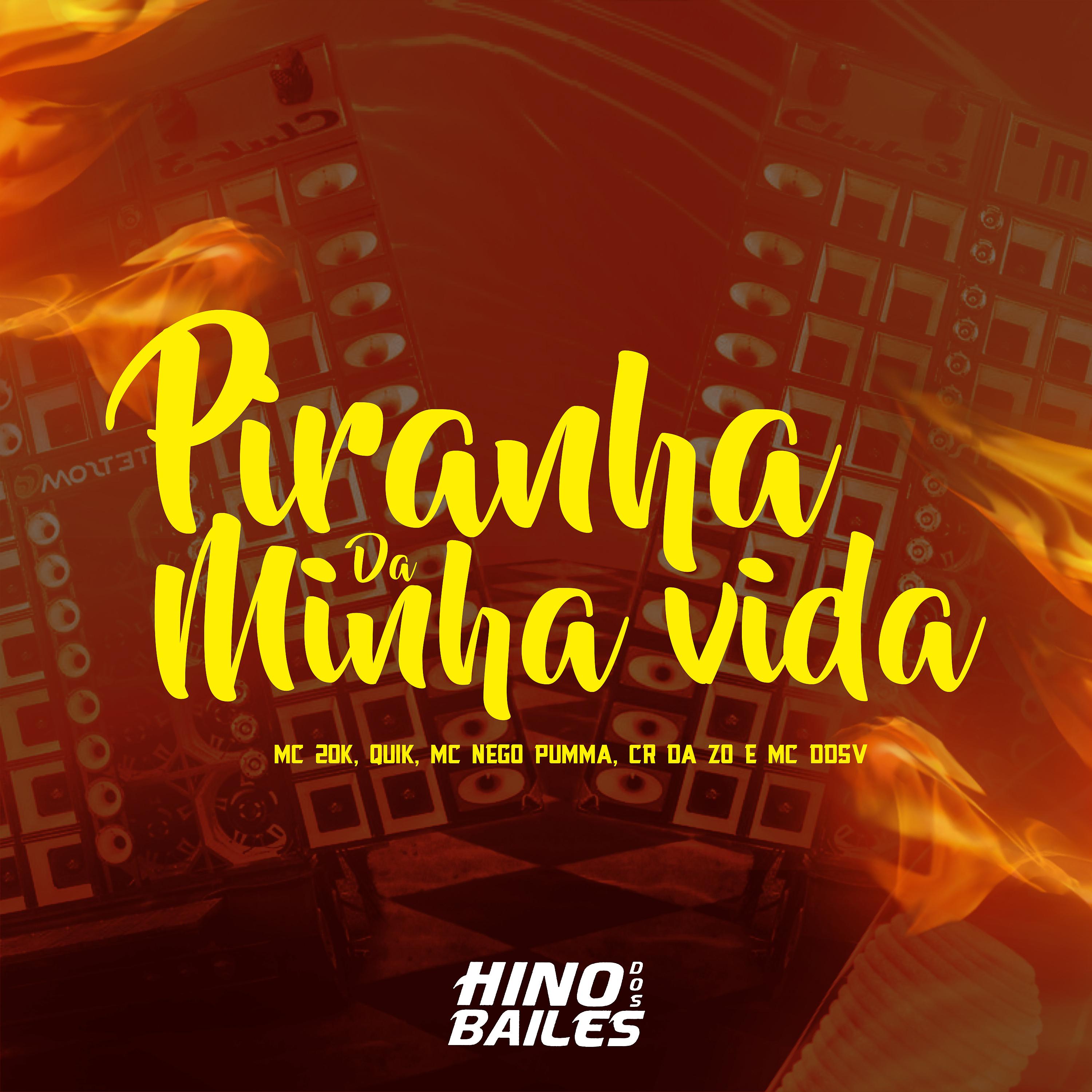 Постер альбома Piranha da Minha Vida