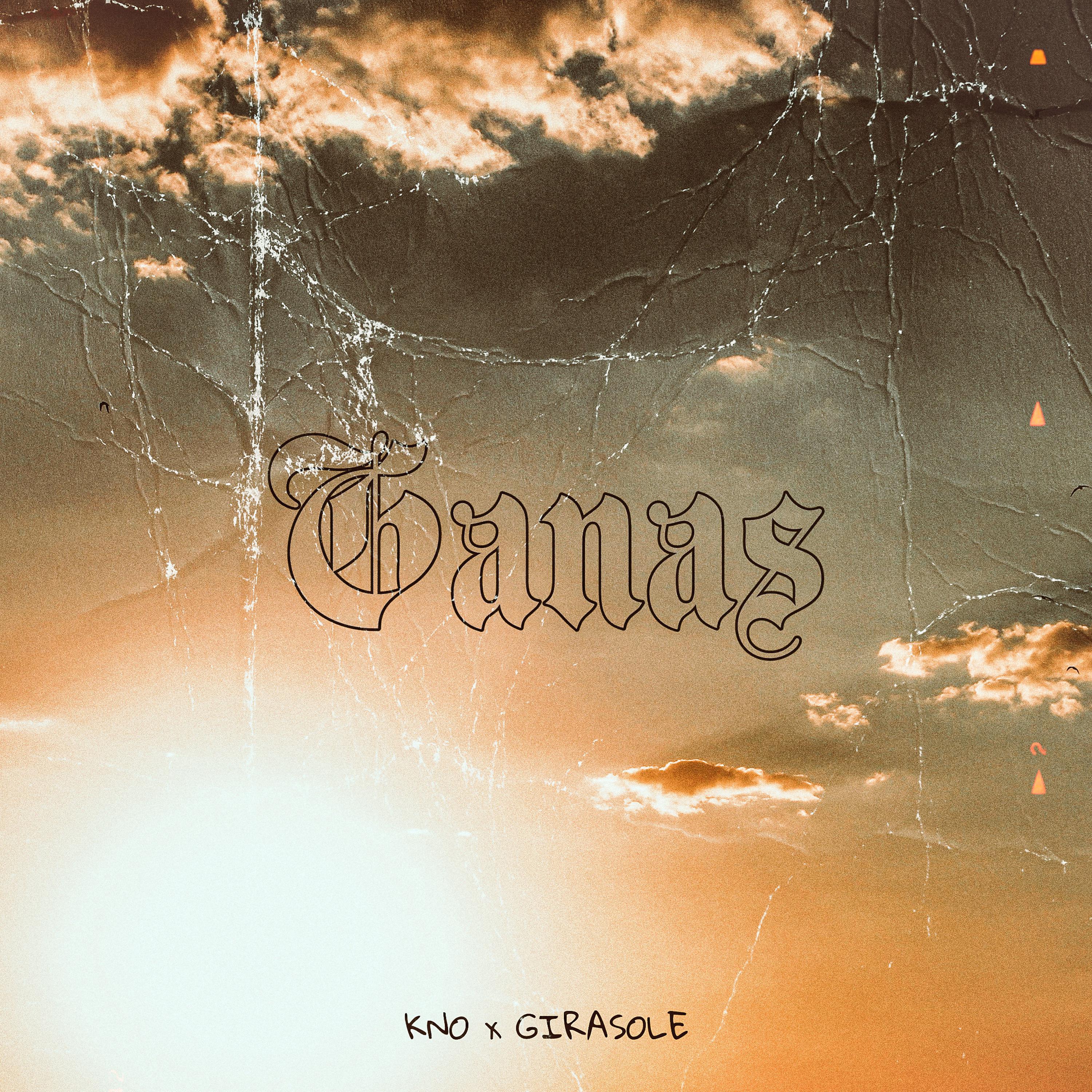Постер альбома Ganas