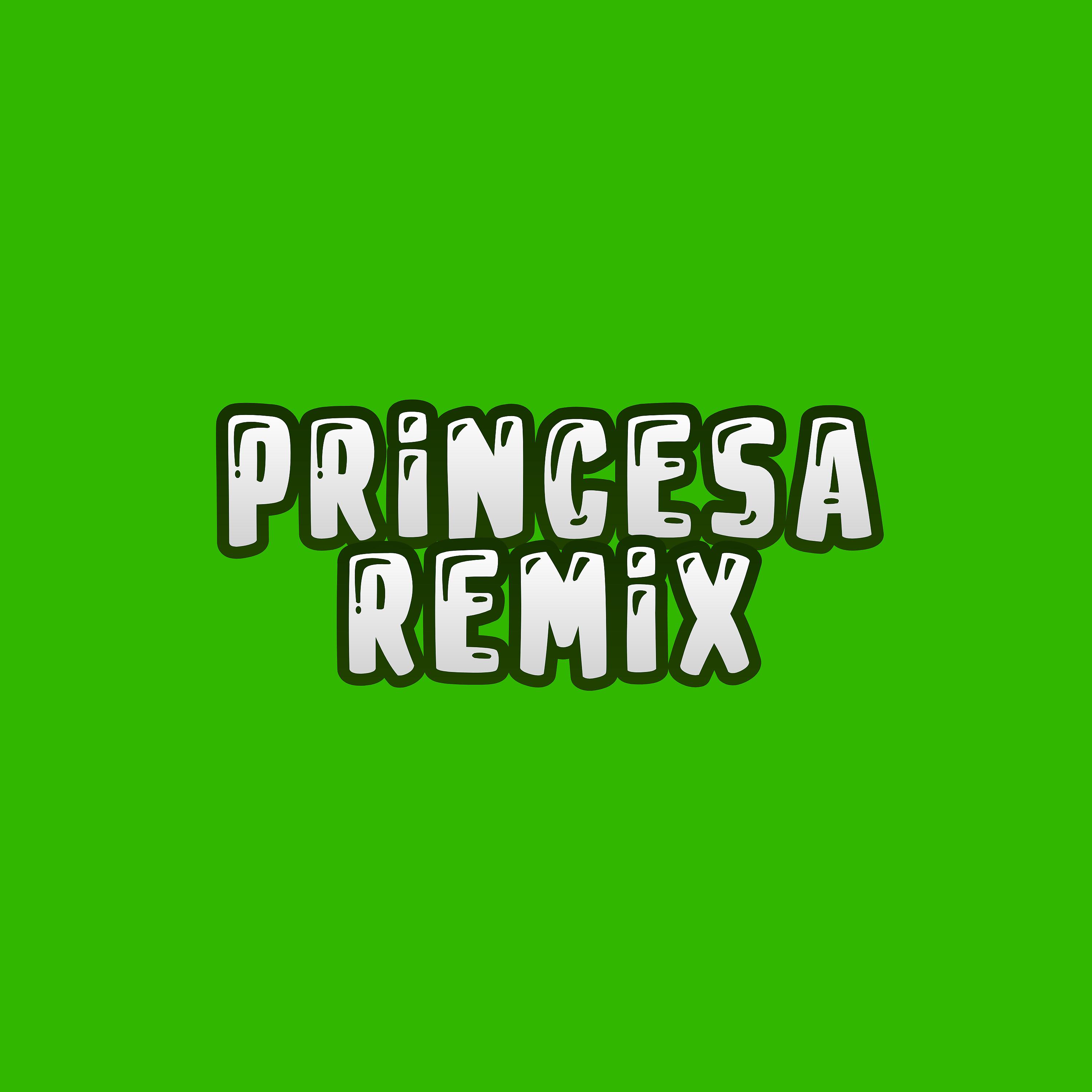Постер альбома Princesa Remix