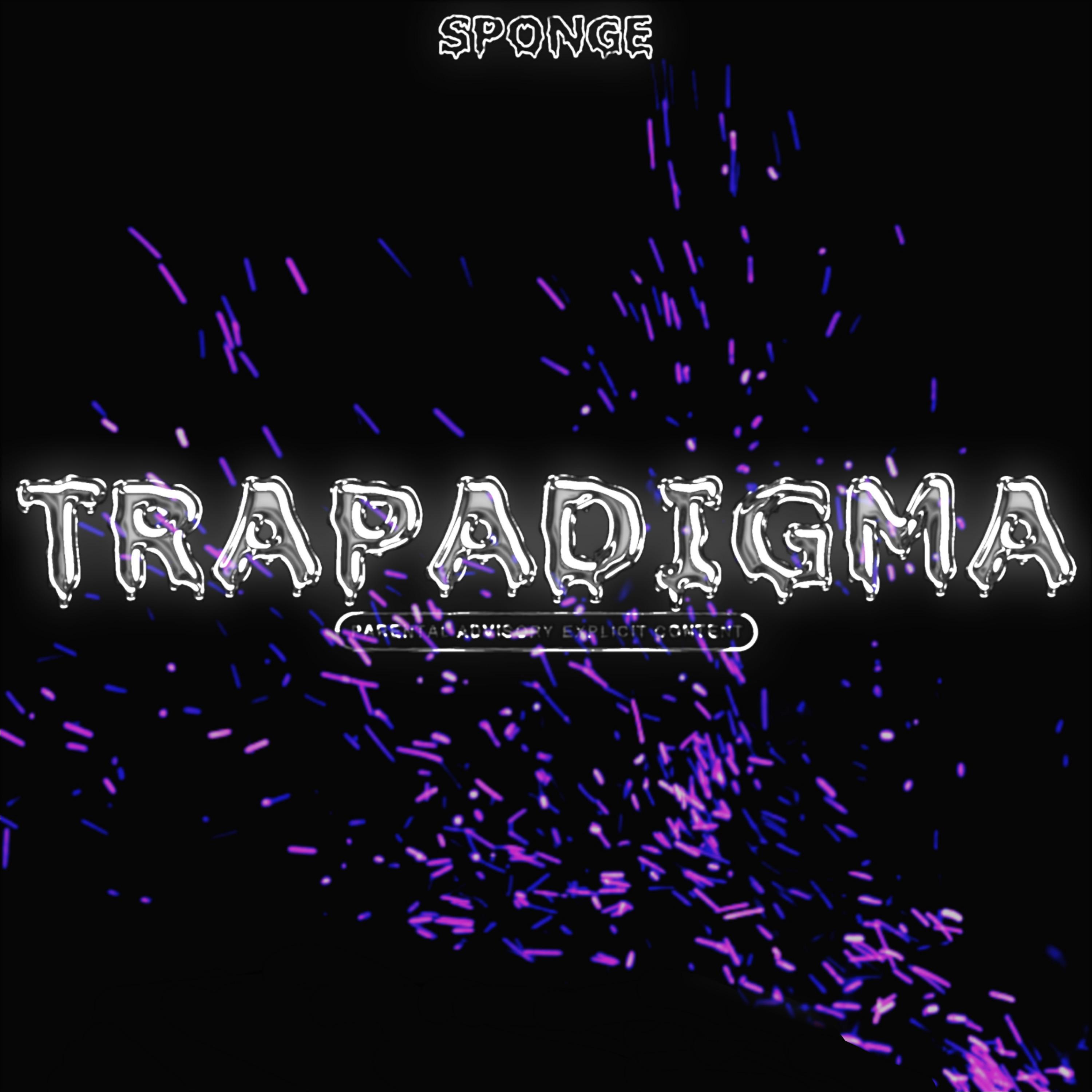 Постер альбома Trapadigma