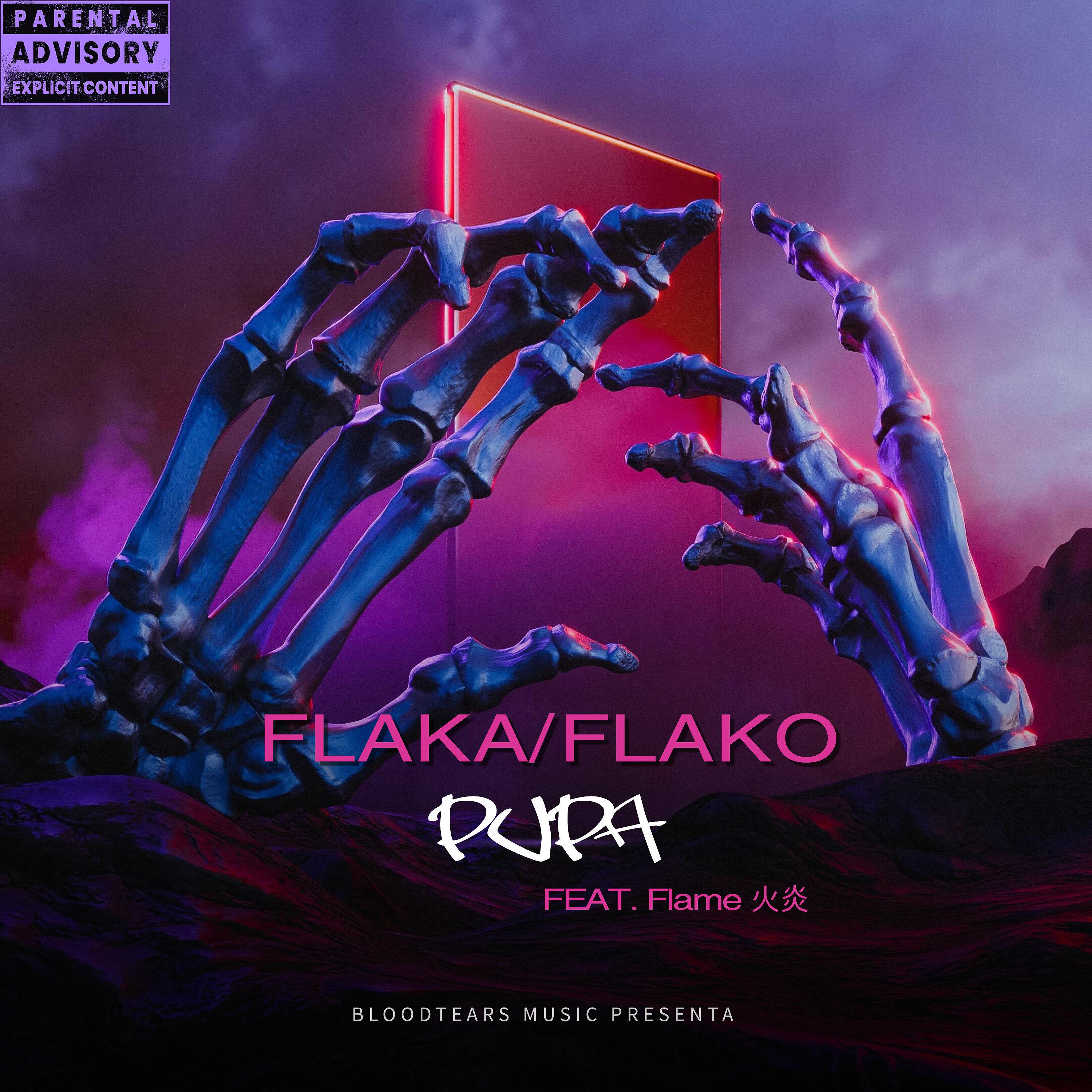 Постер альбома Flaka/Flako