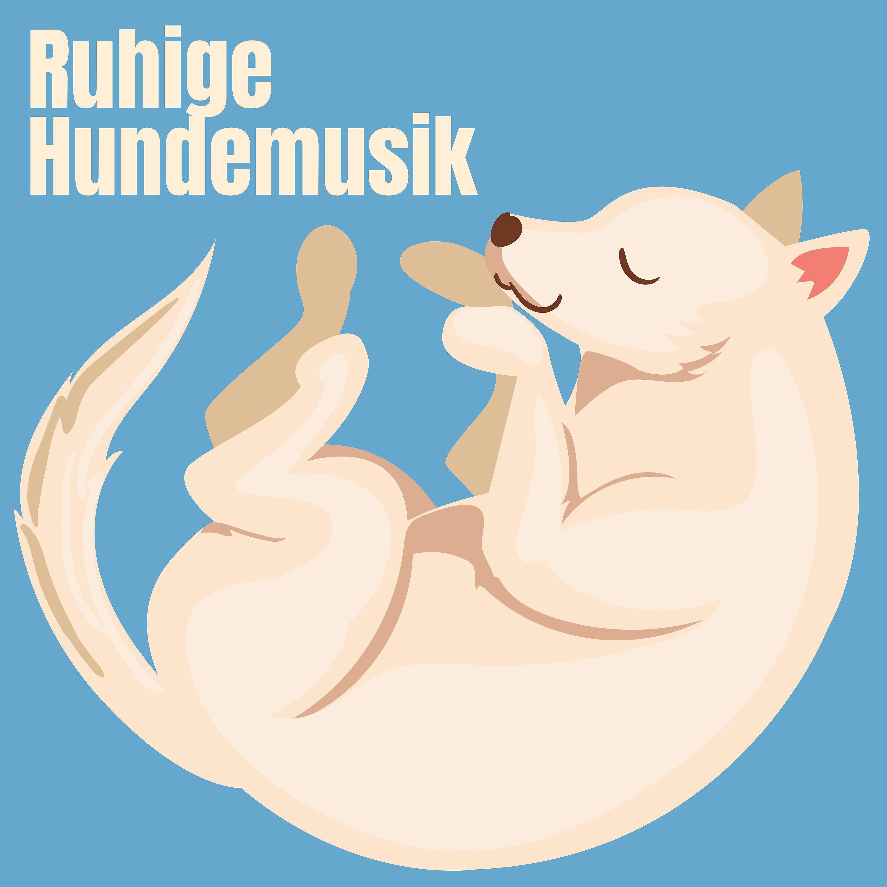 Постер альбома Ruhige Hundemusik