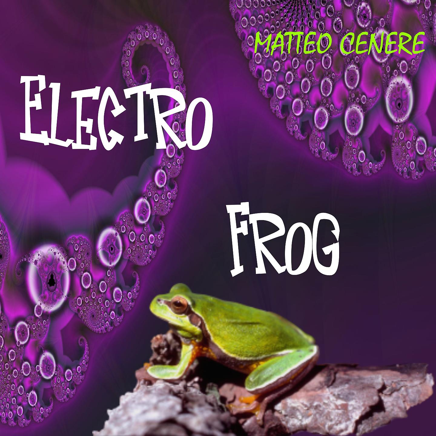 Постер альбома Electro frog