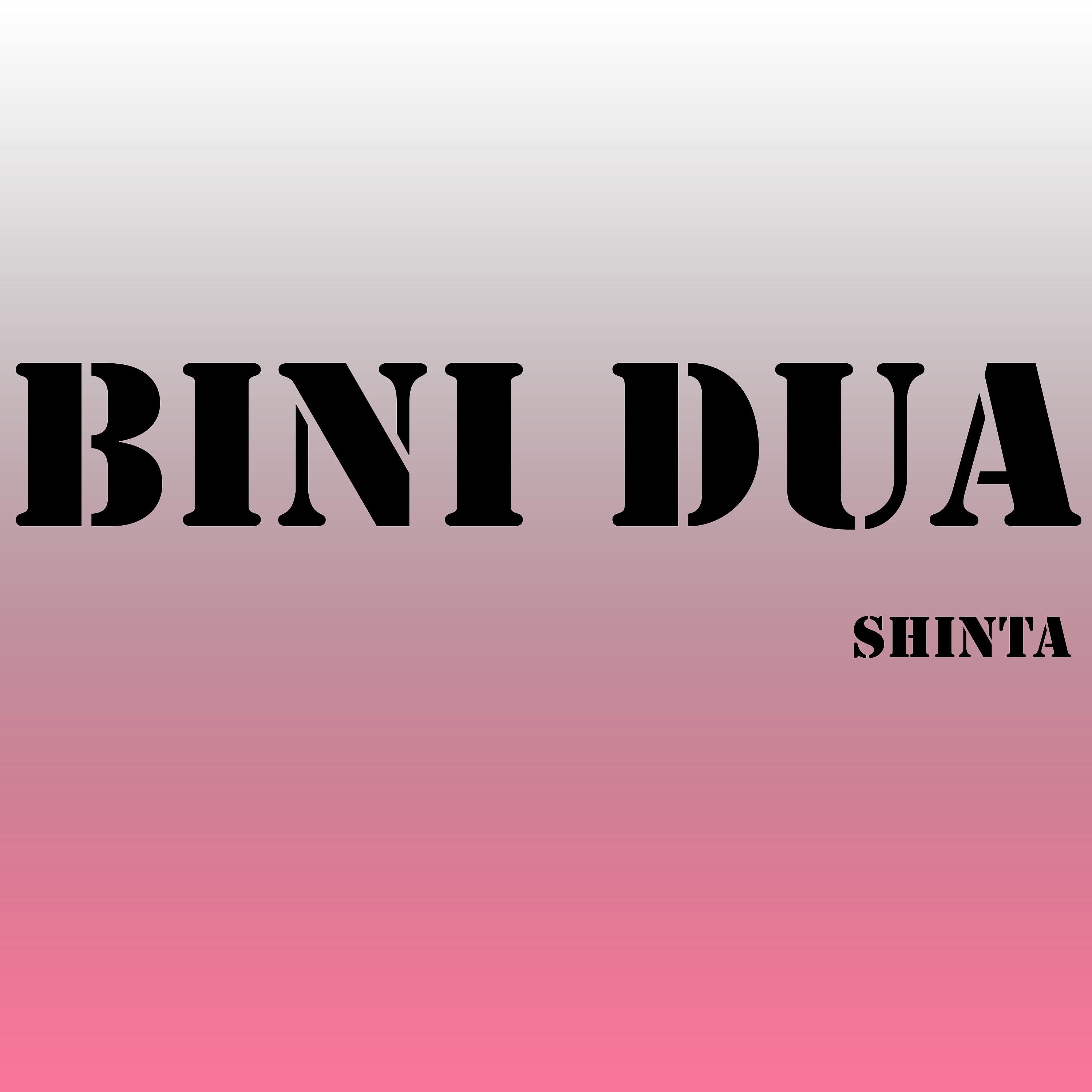 Постер альбома Bini Dua