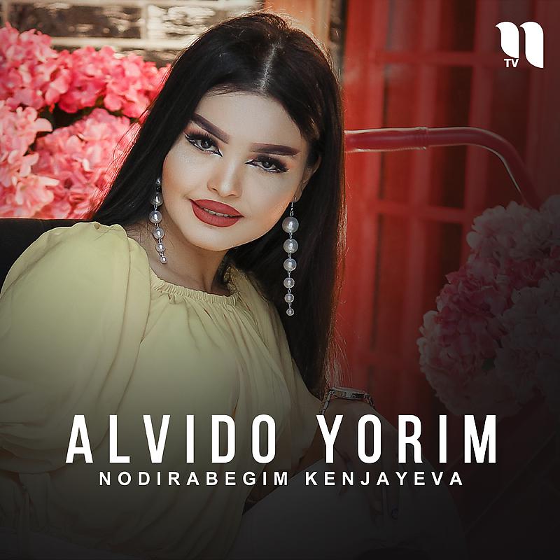 Постер альбома Alvido yorim