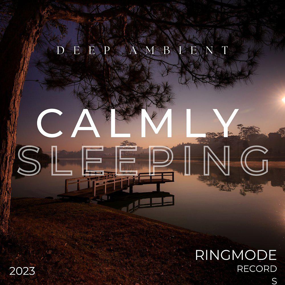 Постер альбома Calmly Sleeping