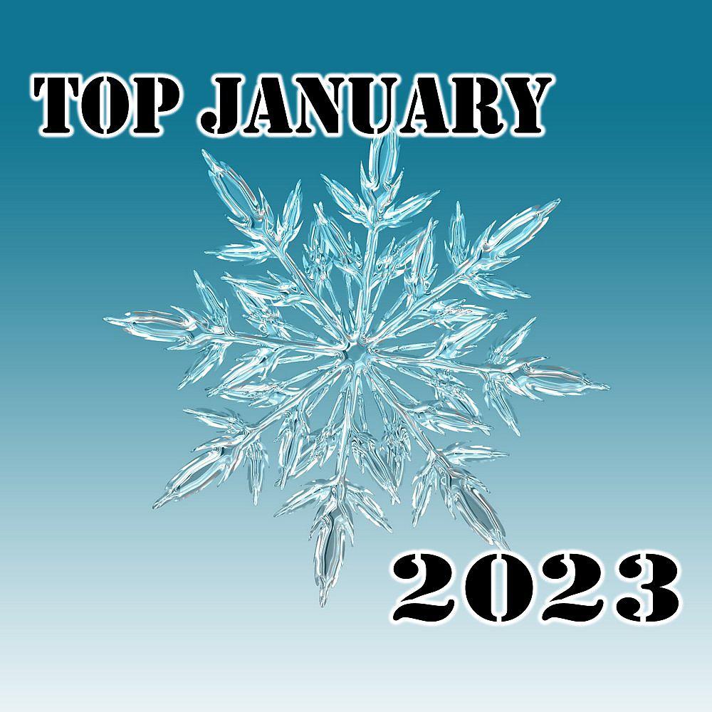 Постер альбома Top January 2023