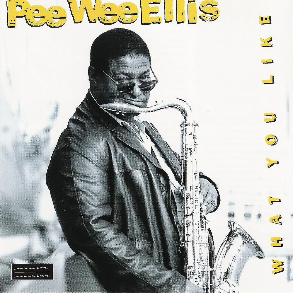 Pee Wee Ellis & NDR Bigband - (Your Love Is) so Doggone Good