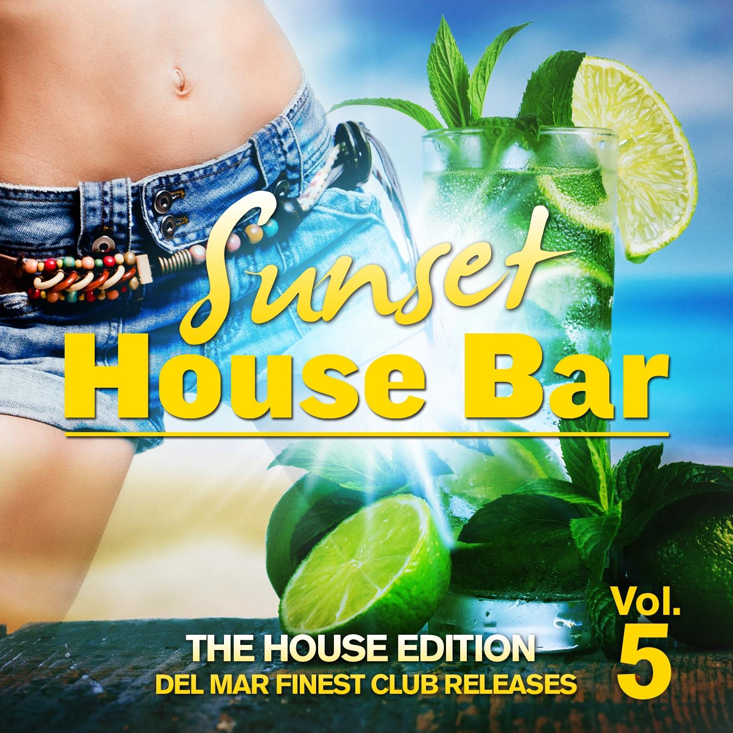Постер альбома Sunset House Bar, Vol. 5