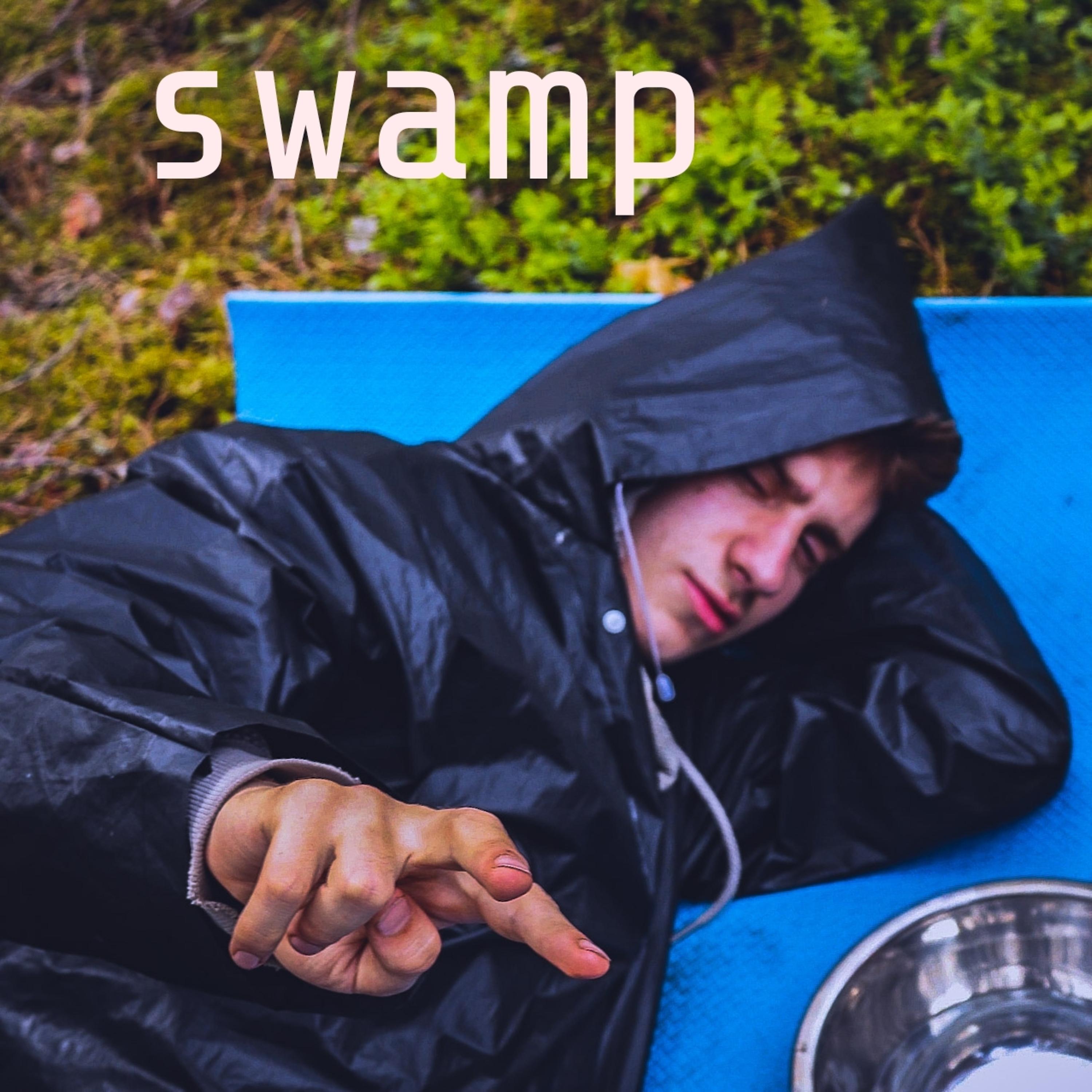 Постер альбома Swamp