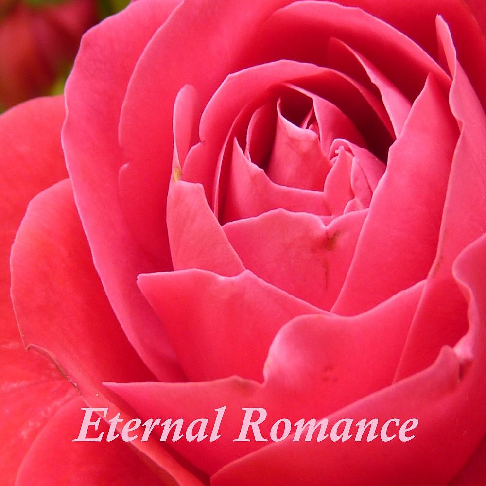 Постер альбома Eternal Romance