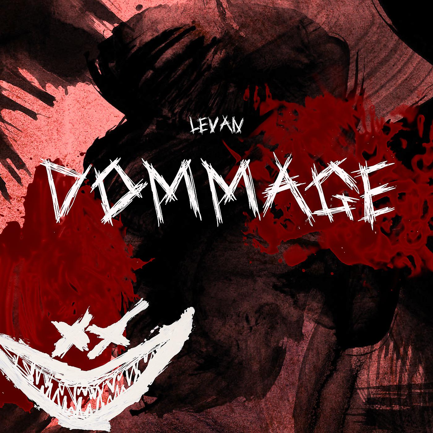 Постер альбома Dommage