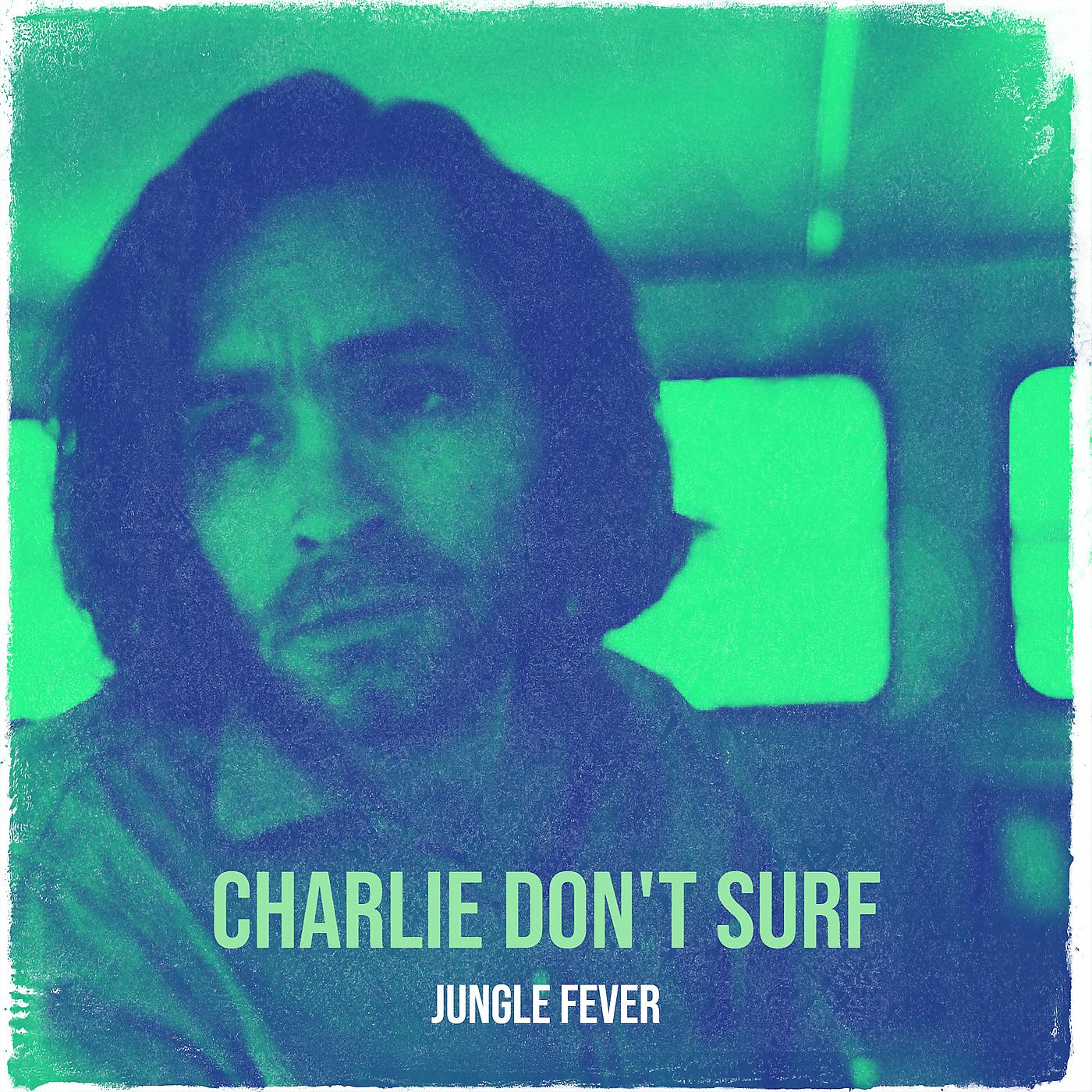 Постер альбома Charlie Don't Surf