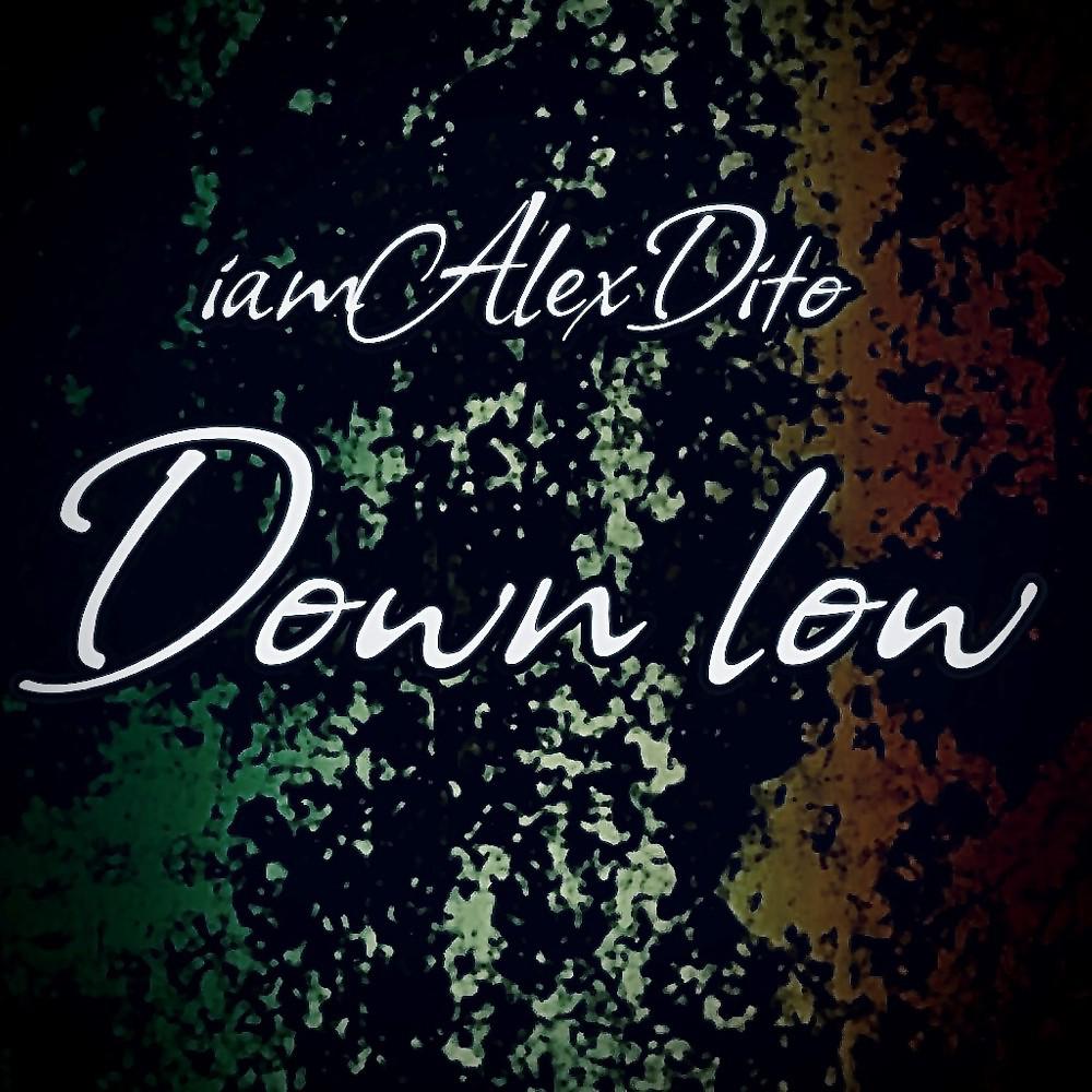 Постер альбома Down Low (Techno Remix)