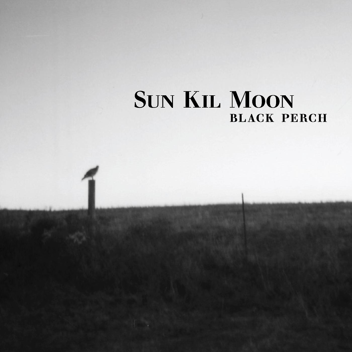 Постер альбома Black Perch