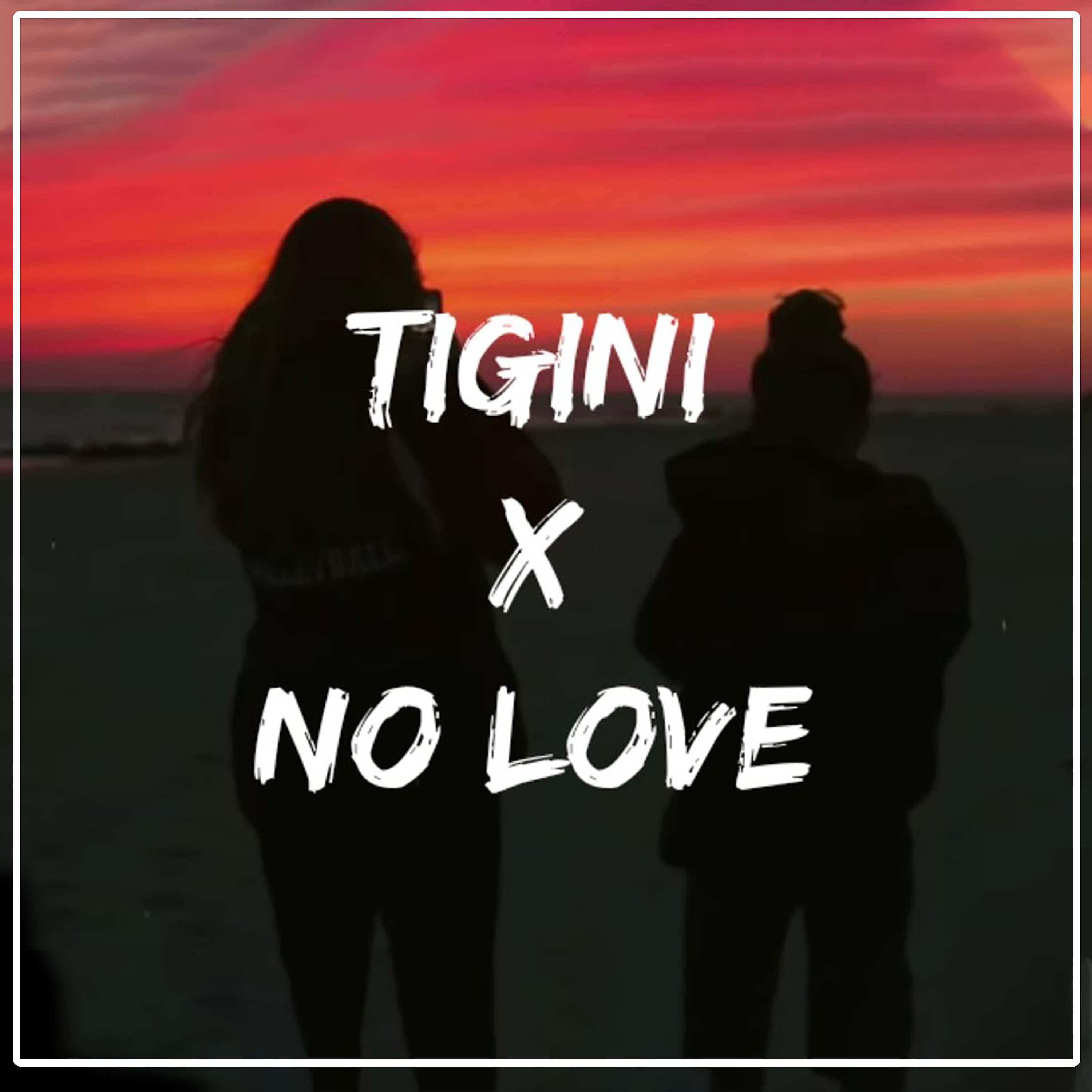 Постер альбома Tigini X No Love