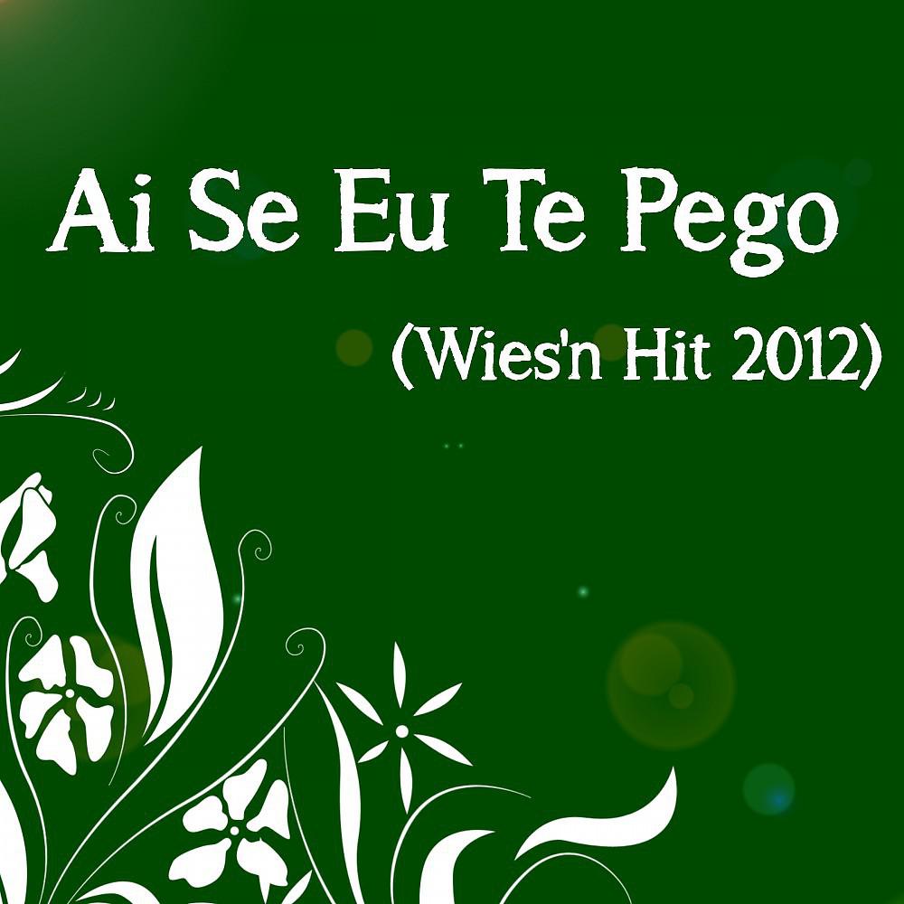 Постер альбома Ai Se Eu Te Pego (Wies'n Hit 2012)
