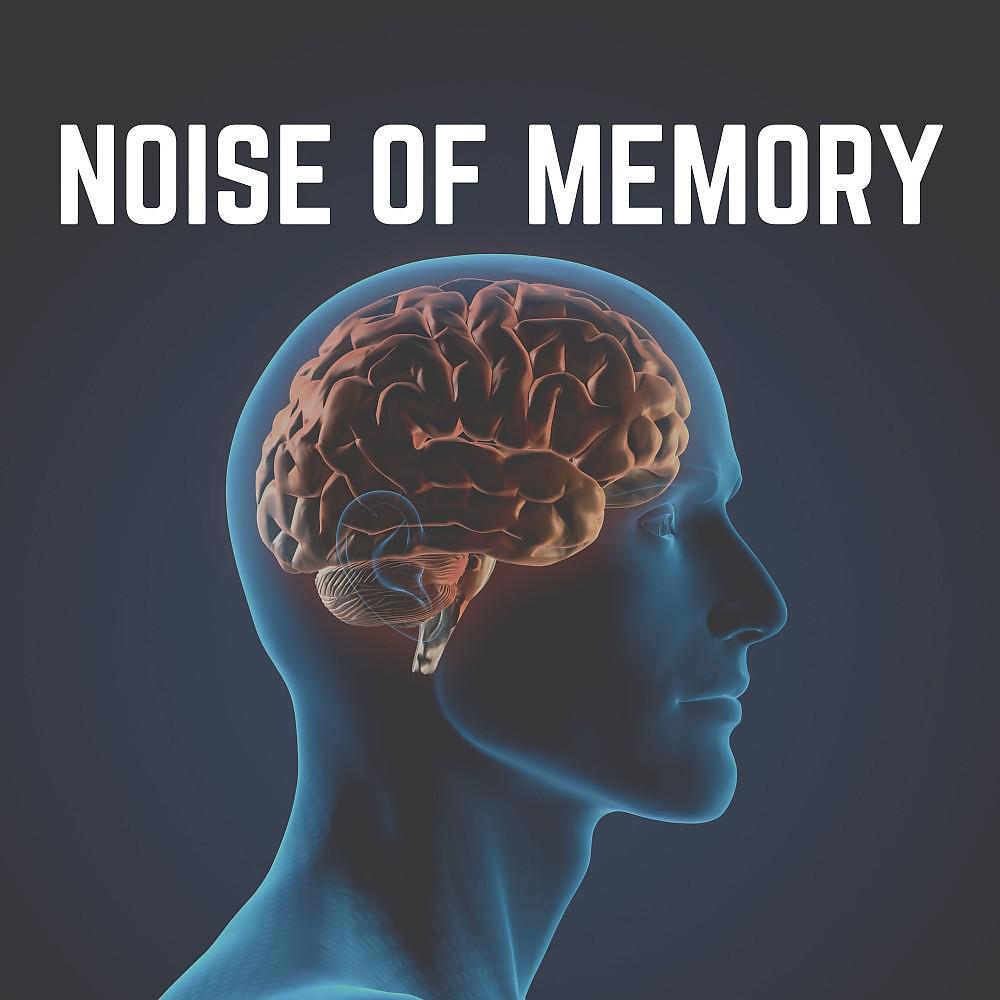 Постер альбома Noise of Memory