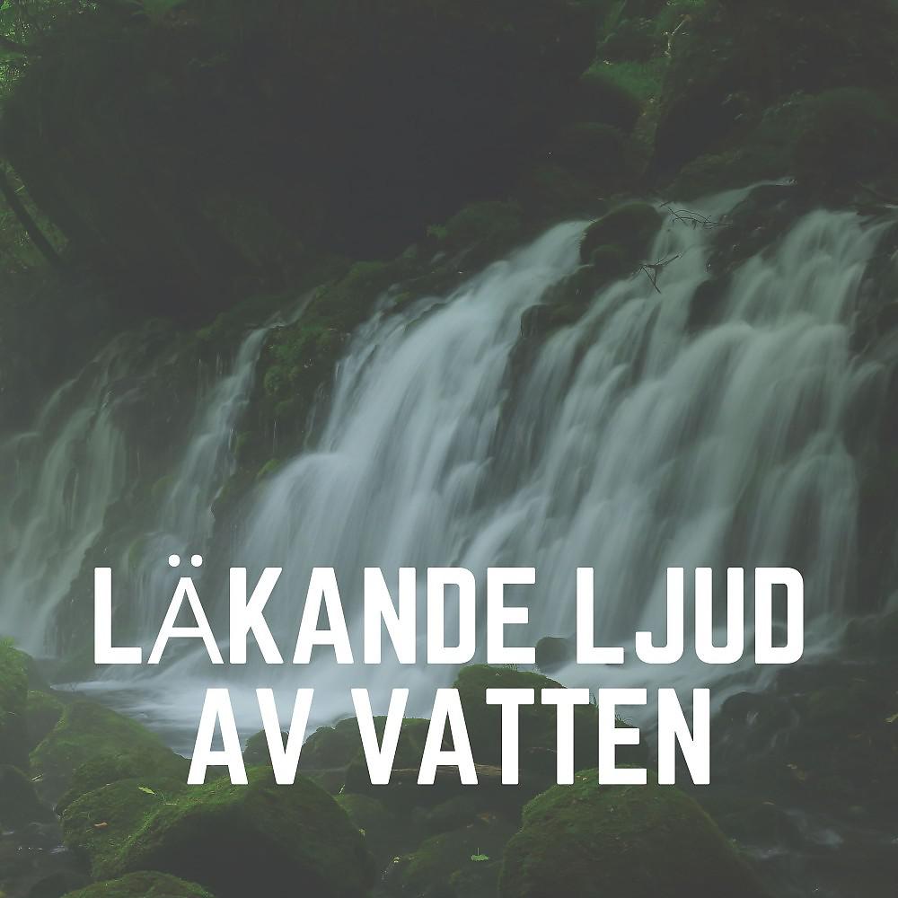 Постер альбома Läkande Ljud Av Vatten