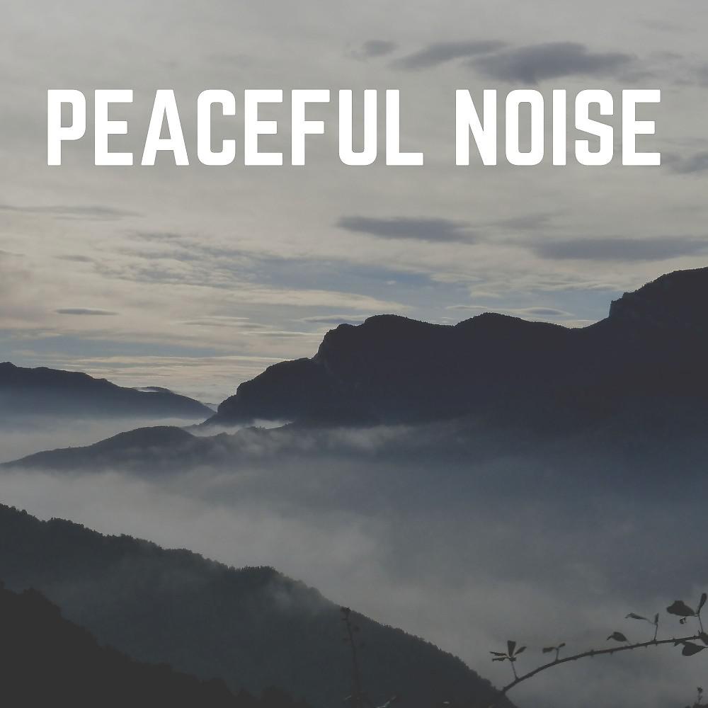 Постер альбома Peaceful Noise