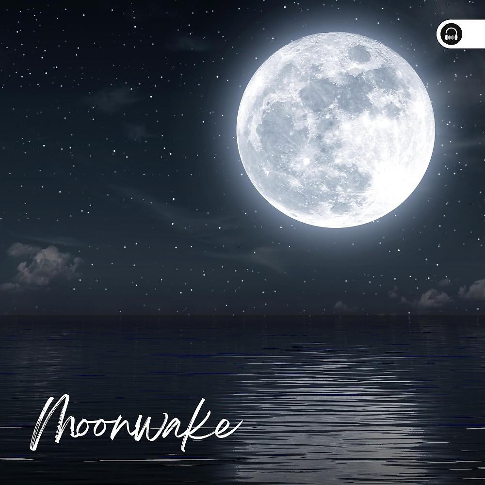 Постер альбома Moonwake